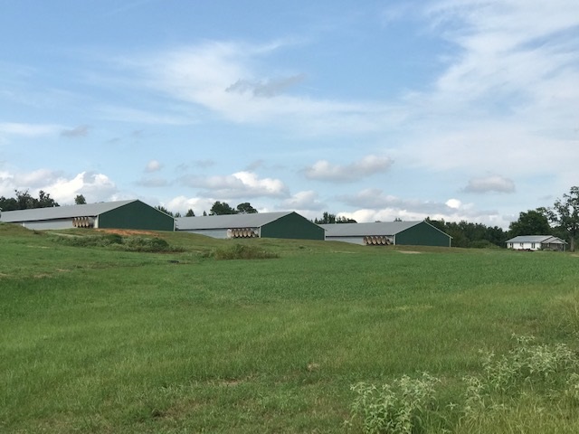 Established poultry farm, 4 - 50 x 500 broiler houses built in 2006, Currently under Tyson contract, houses still in operation and ready.  Property has 40 acres, 90 x 40 litter shed, 8 bay 70' composter, generator, 2 wells and rural water hook up along with a small farm house ( house conveys but needs TLC ).  Contact our office for more details.