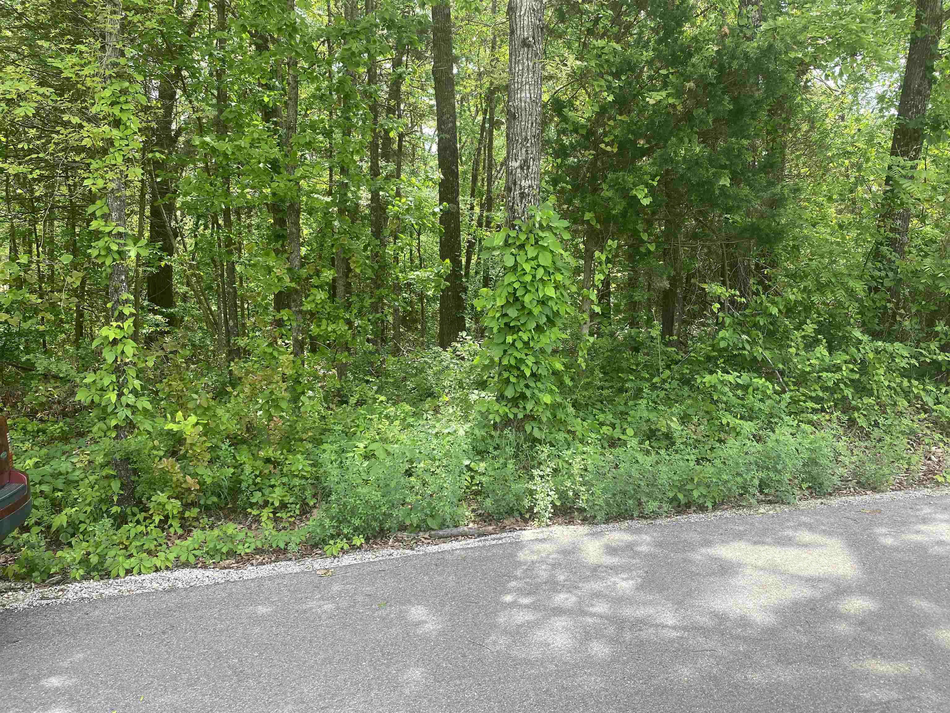 Conveniently located in Pineville, Arkansas, this 1-acre shaded lot is just minutes from the White River and Norfork Lake. It offers recreational opportunities nearby, including fishing, boating, and outdoor activities. This property offers a great building site with blacktop road frontage for easy access. Utilities are available in the area, including fiber optic internet service. It’s ideal for an RV setup, tiny cabin, or future retirement home in a rural Ozark setting. Listed for $9,000.
