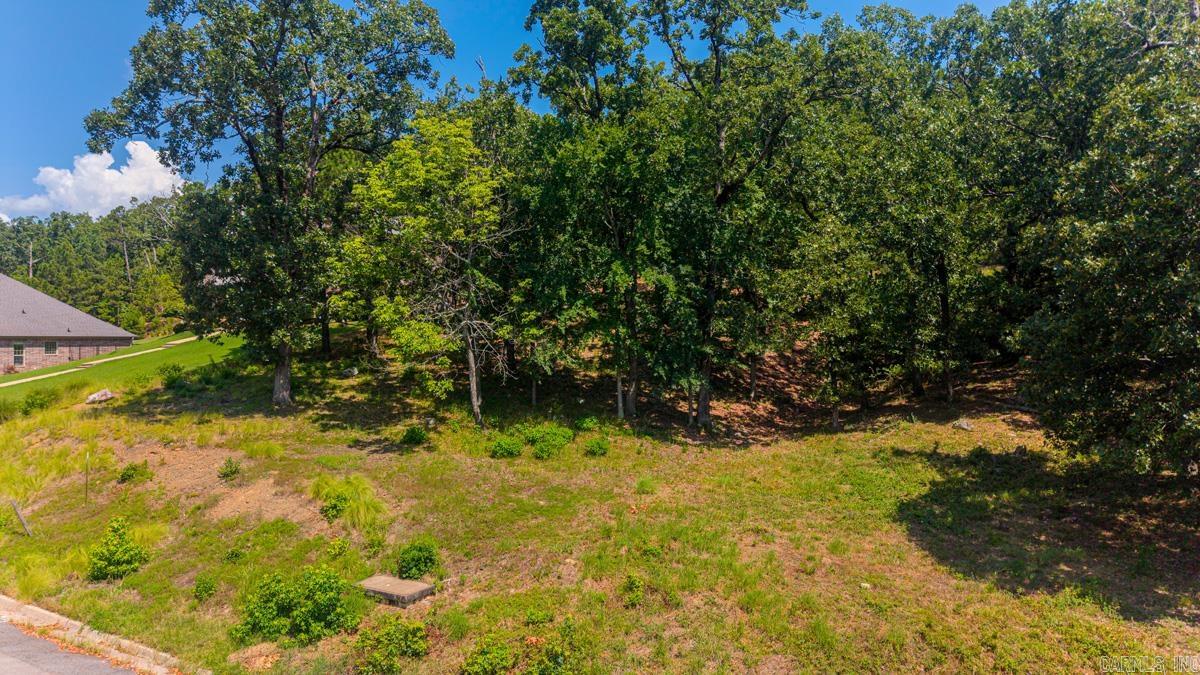 Turtle Creek Cove - Land