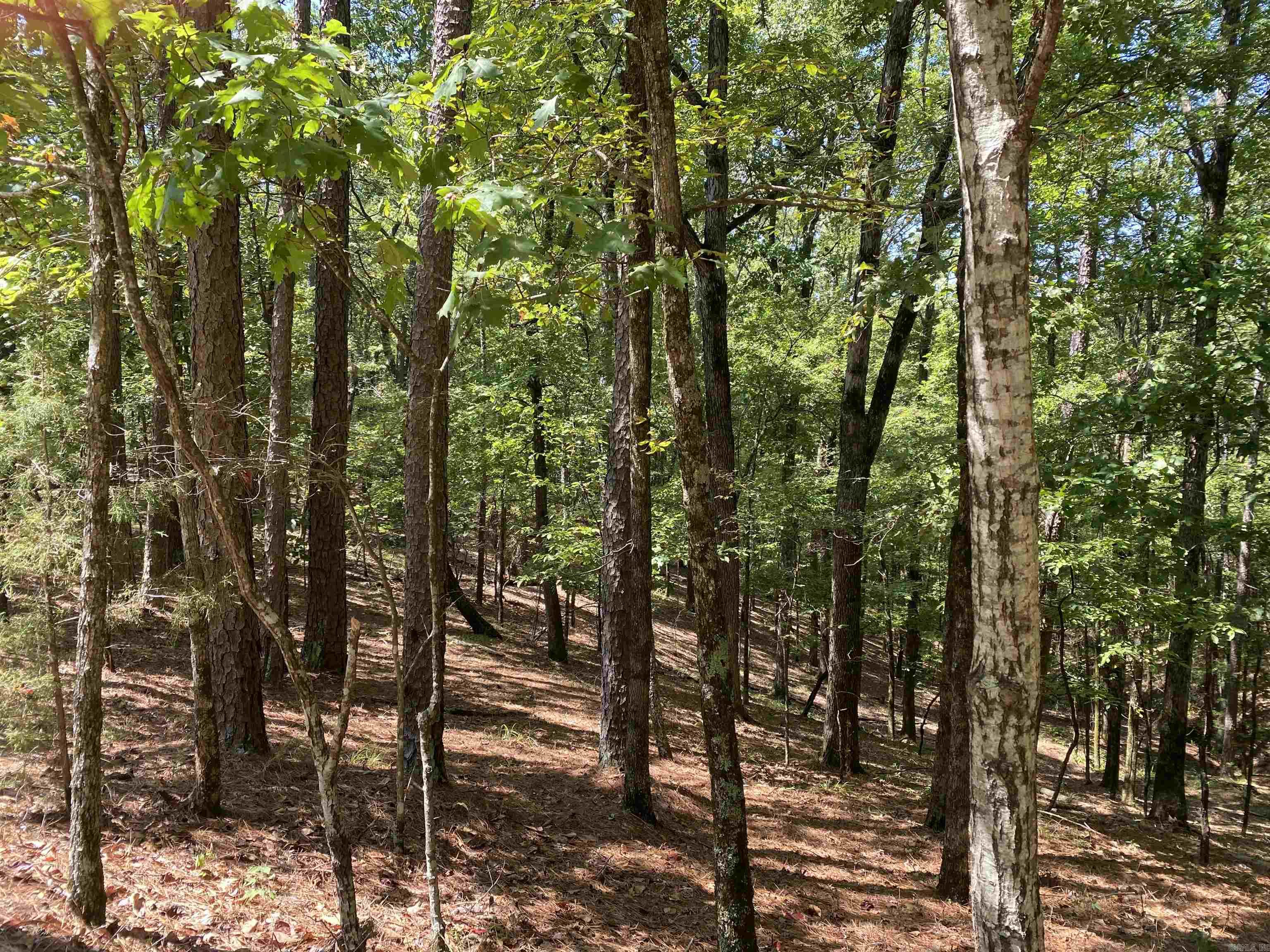 Hickory Nut Mountain Estates - Land