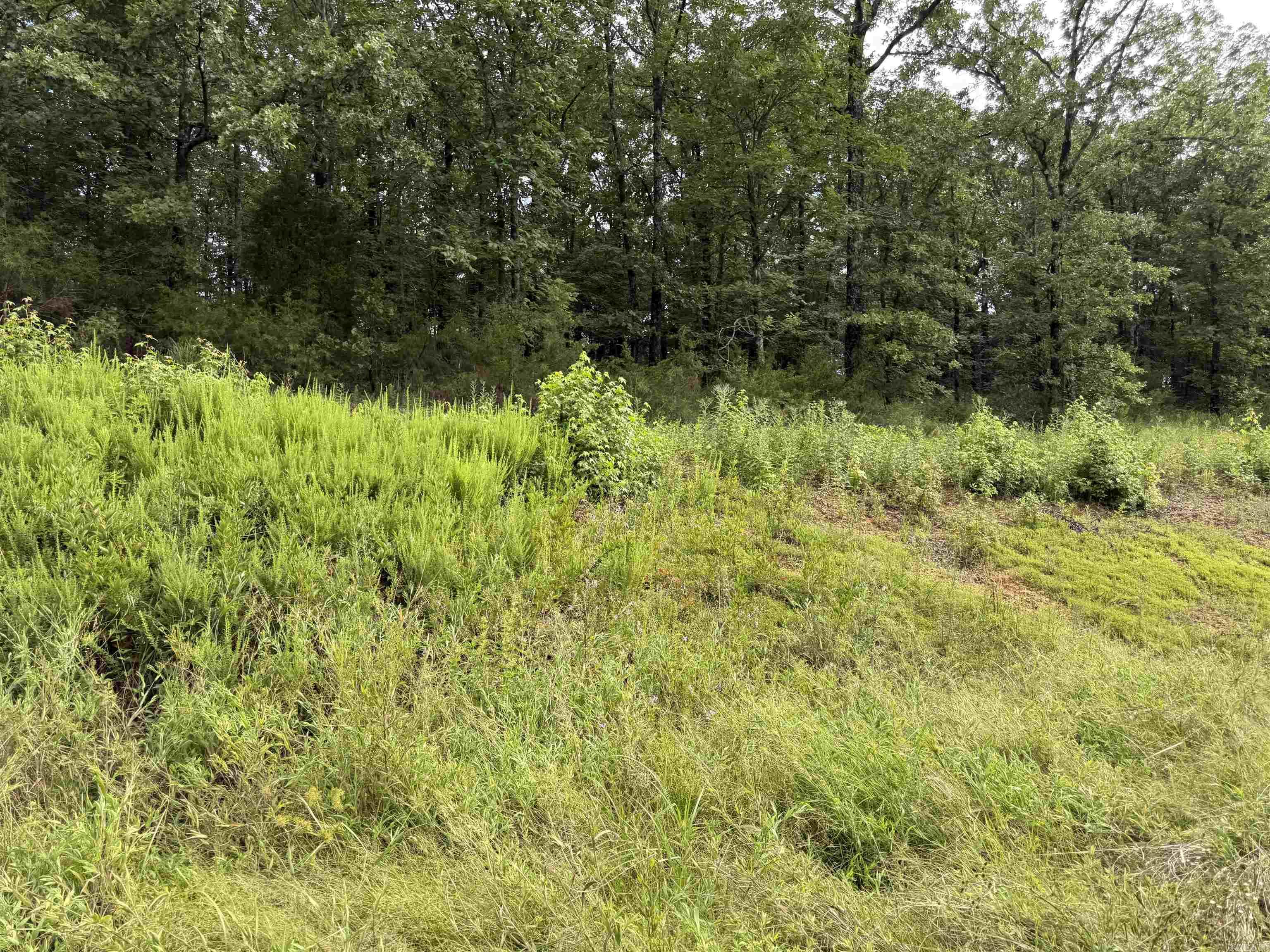 Mountain Ranch Estates - Land