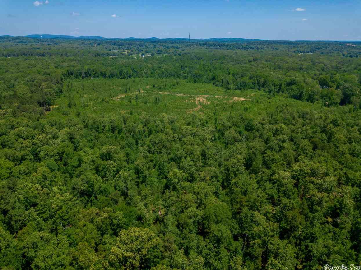 Approx 161 + Acres.  This location is minutes from I- 430 & is ready to be developed or it can be a private oasis for hunting, camping or ATV recreation.