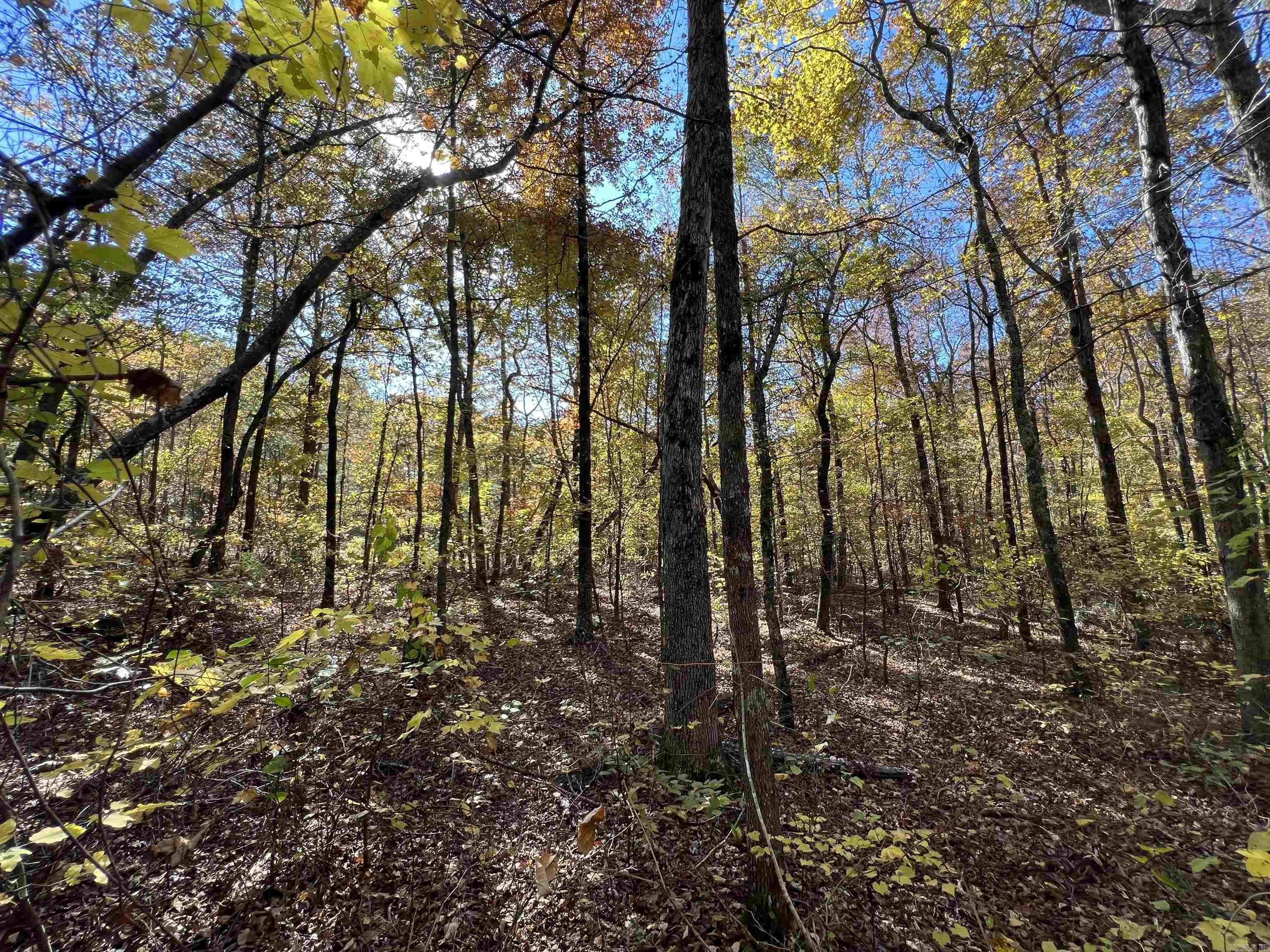 Holley Mountain Airpark - Land