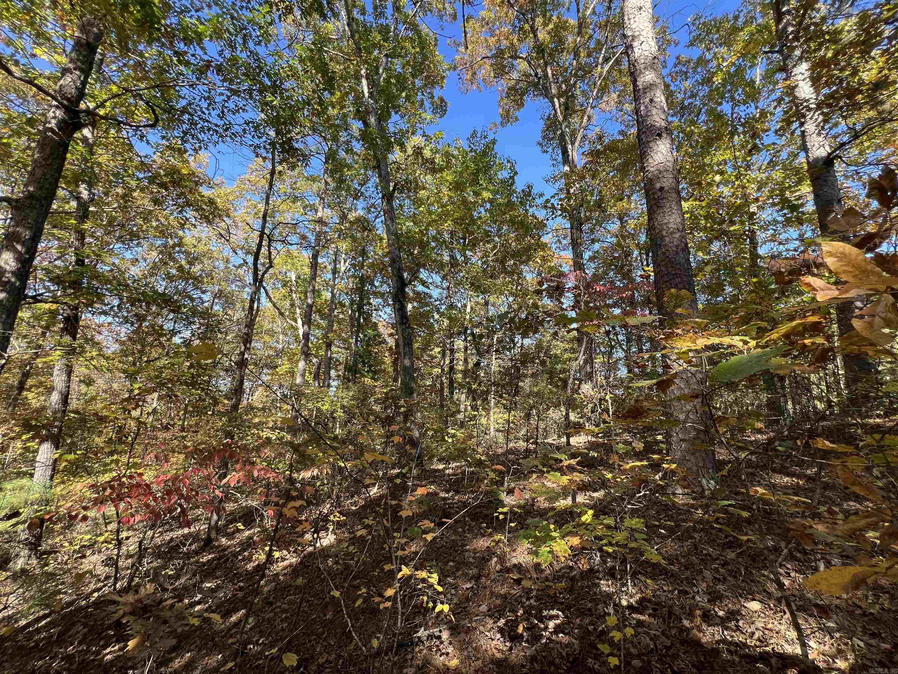 Holley Mountain Airpark - Land