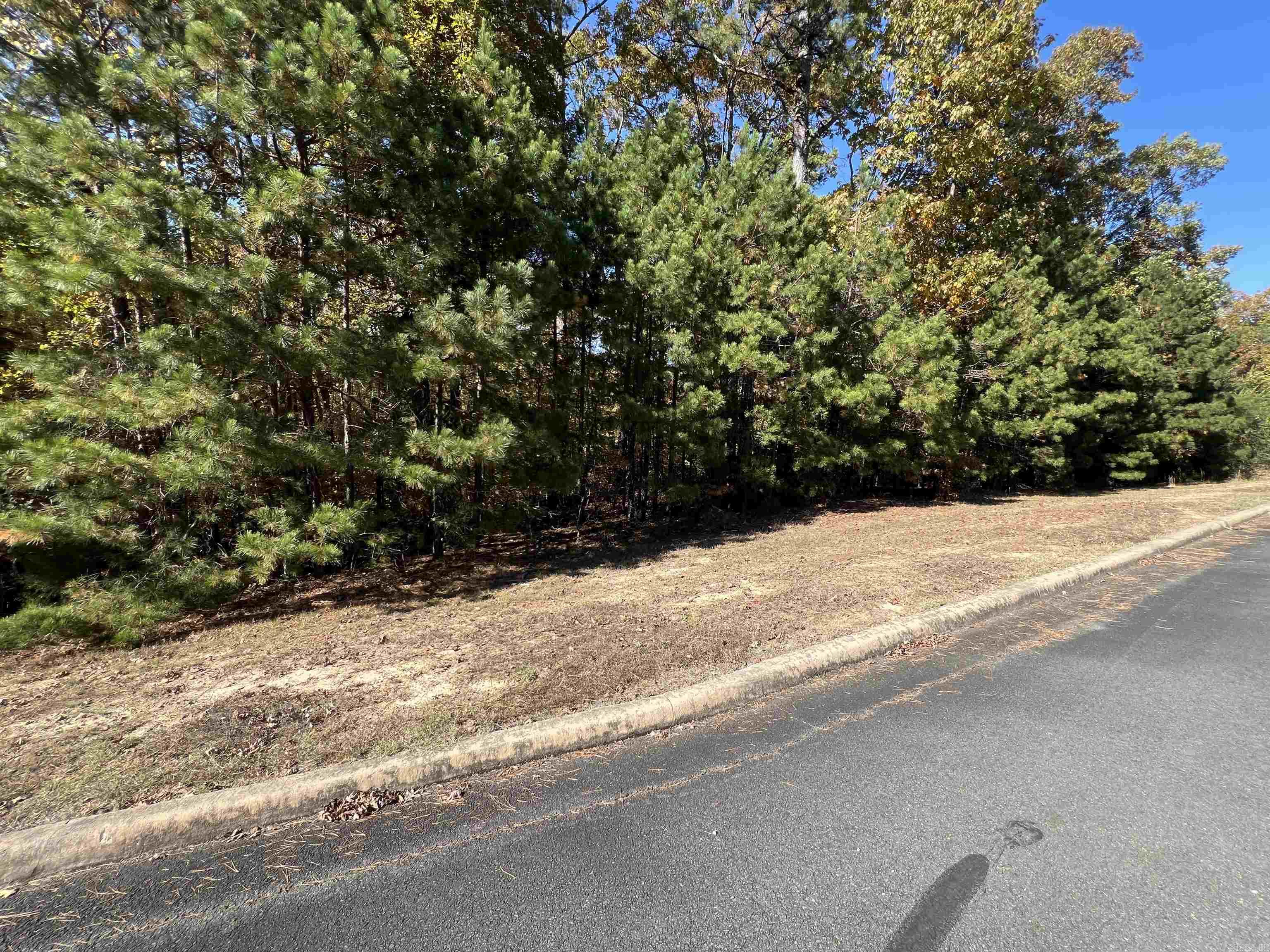 Holley Mountain Airpark - Land