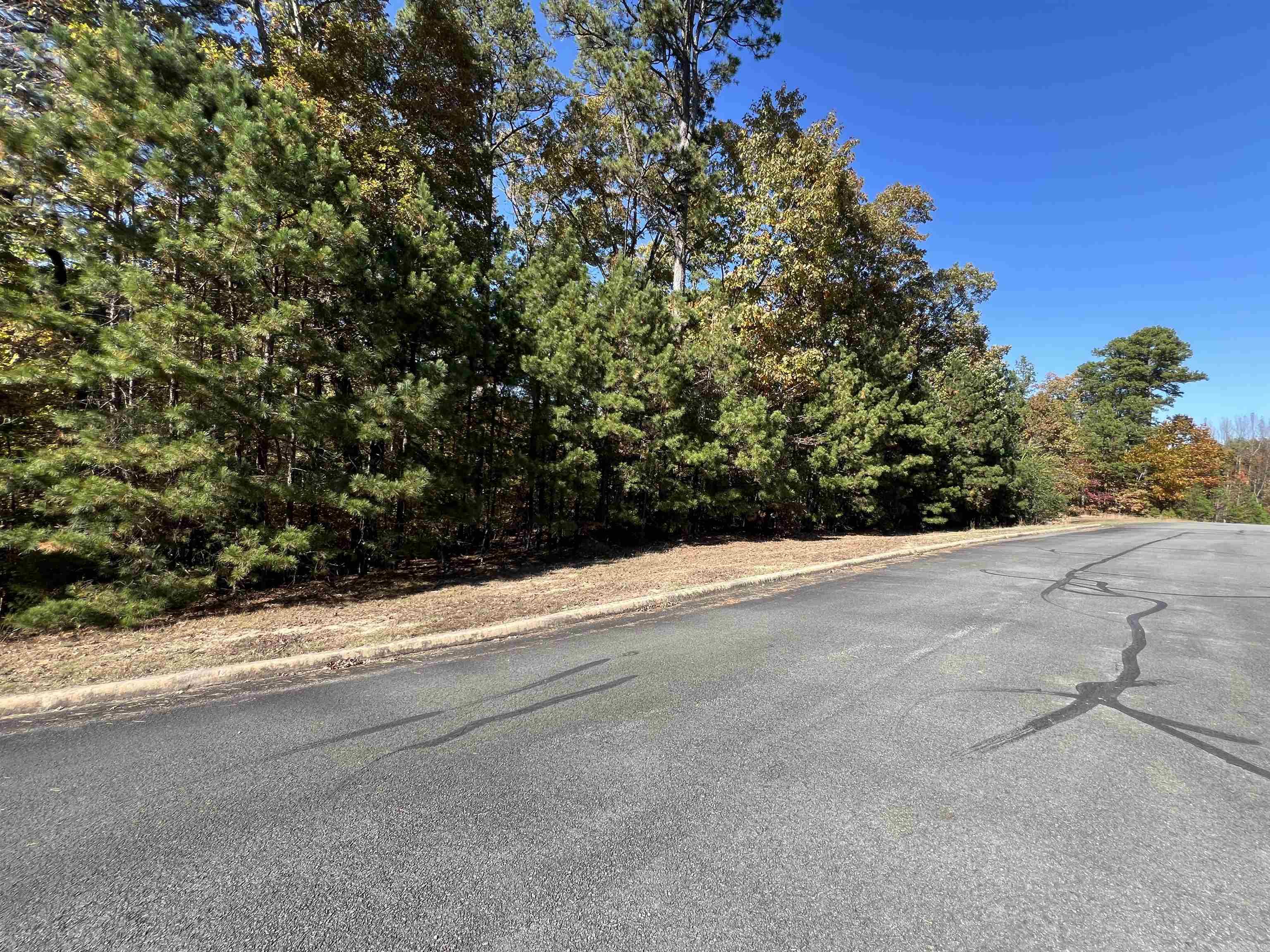 Holley Mountain Airpark - Land