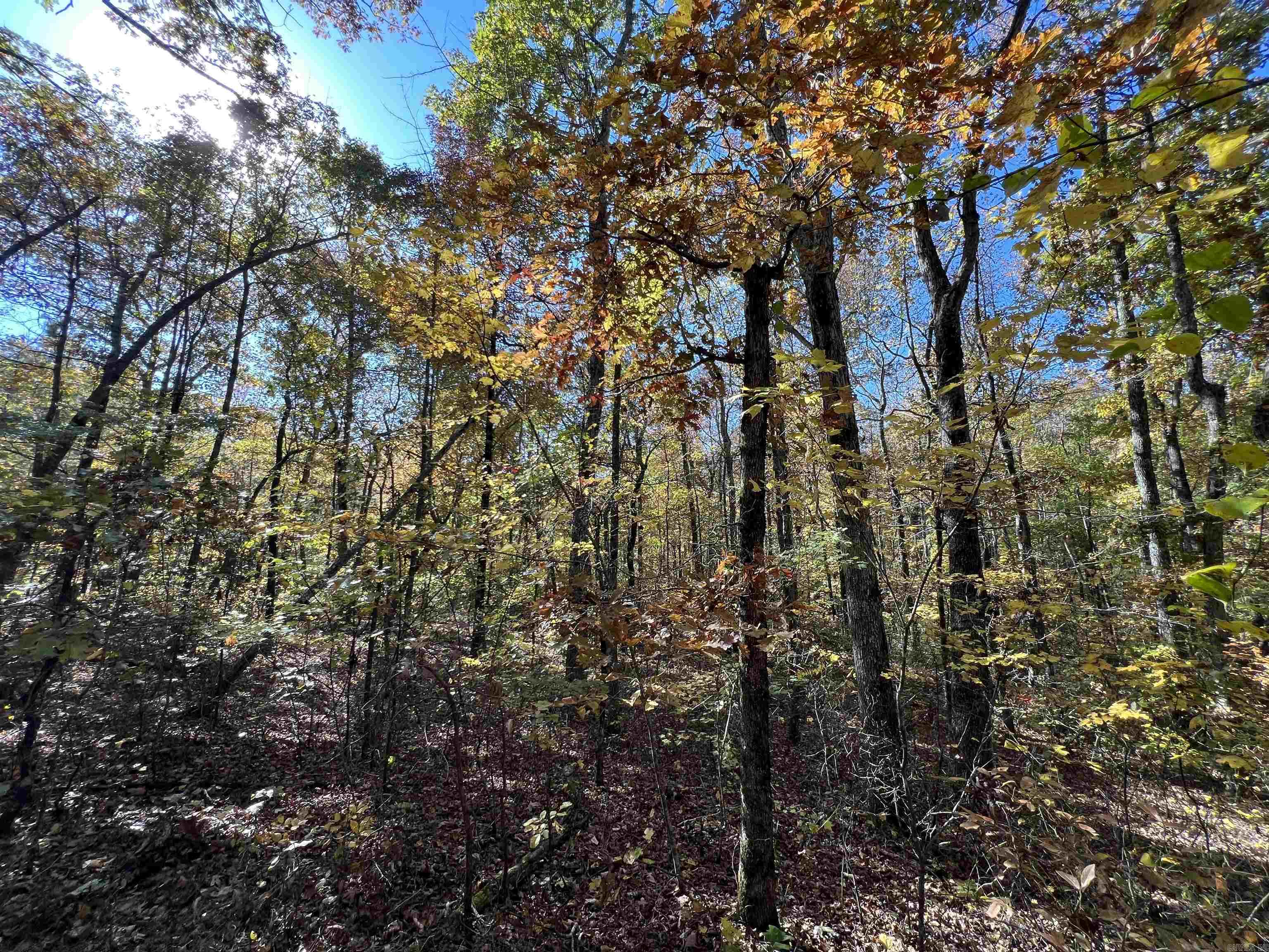 Holley Mountain Airpark - Land