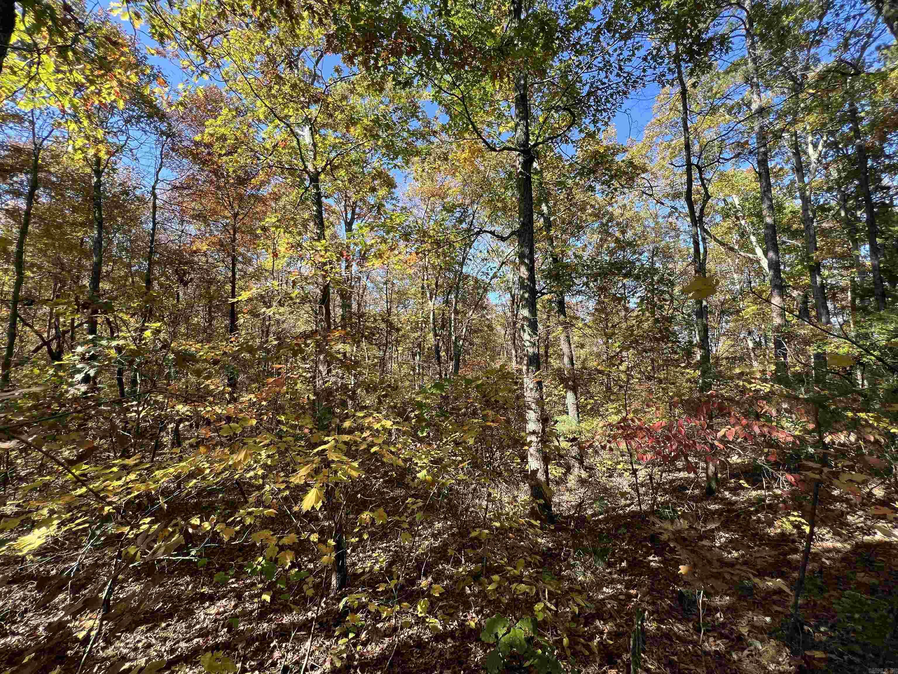 Holley Mountain Airpark - Land