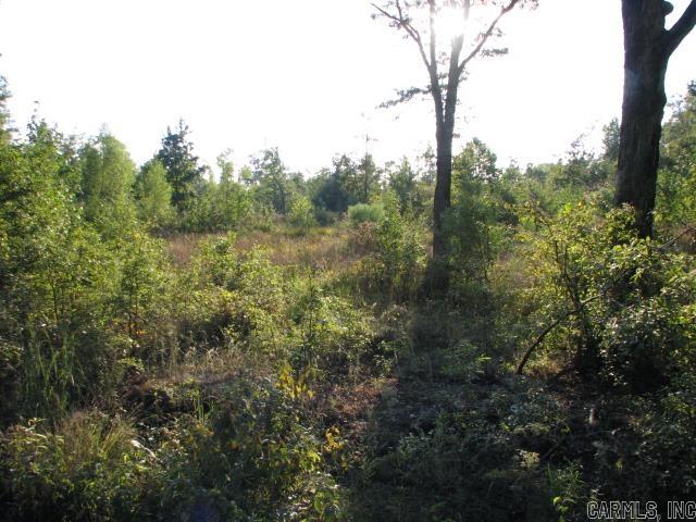 Searcy Rural - Land