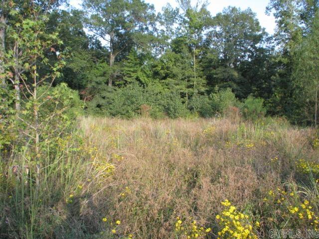 Searcy Rural - Land