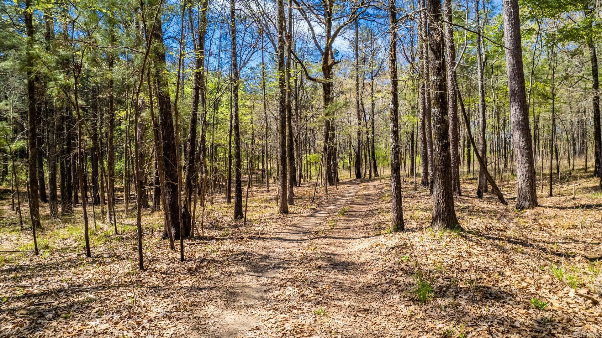 Premier Investment Opportunity: 173 acres in Monticello, Arkansas.  This 173-acre property in Drew County offers an exceptional investment opportunity with 2000 feet of frontage along Highway 278, ensuring prime visibility and access. Located just 1.5 miles from the intersection of Highways 425 and 278 and a quarter mile from the new loop connecting to Drew County Regional Medical Center, this land is ideal for development as the area grows.  Key Features:  Prime Location: Close to major highways, essential amenities like Walmart, and just minutes from shopping, dining, and services. Highway 278 Frontage: 2000 feet of frontage enhances development potential. Pine Plantation: Thriving pine plantation provides potential income or a scenic backdrop for residential projects. Educational Hub: Near the University of Arkansas Monticello, adding value for families and professionals seeking proximity to education. This property combines growth potential, strategic location, and natural beauty, ideal for commercial or residential development, timber management, or recreational use.