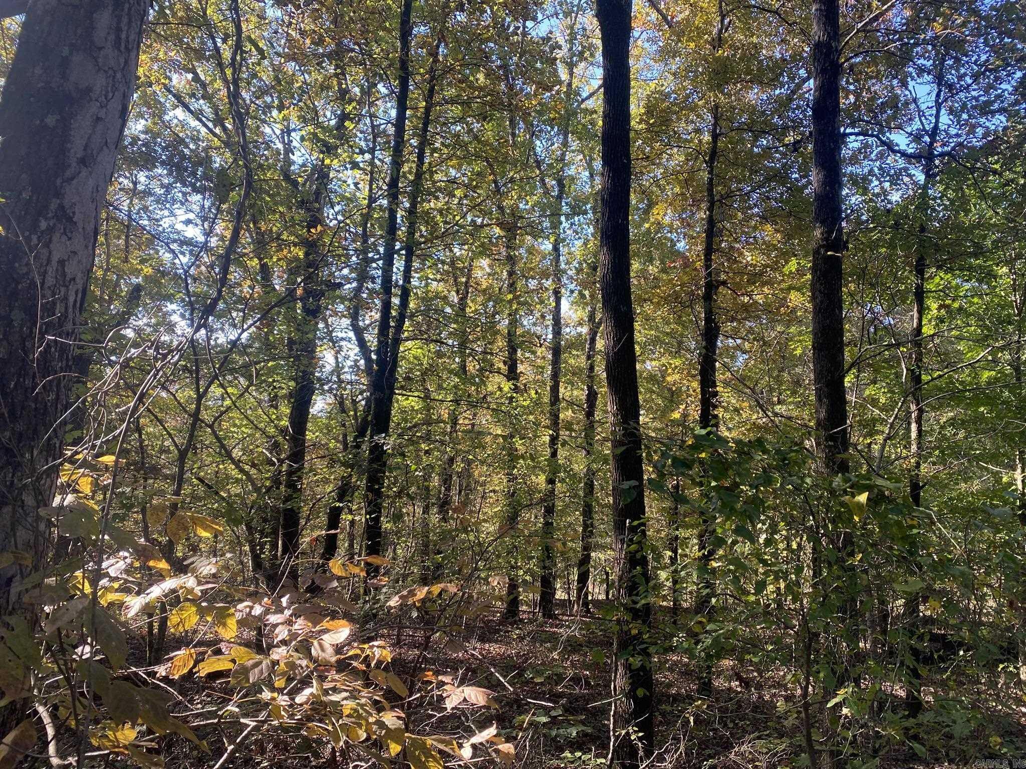 5+ Acres Tracts Unrestricted Land – Just Outside of Mountain!   All utilities are nearby, making it an ideal spot for a homesite, hunting retreat, or future development project. The mix of privacy, accessibility, and natural beauty makes this acreage perfect for a variety of uses. Whether you’re looking to build, invest, or escape into nature, this property offers endless potential. Key Features: • Unrestricted • Mostly wooded with natural beauty • All utilities nearby • Excellent hunting and recreation potential • Great for homebuilding or development • First time on the market in 55 years! Don’t miss this rare opportunity to own a piece of land with so much potential—schedule a visit today!