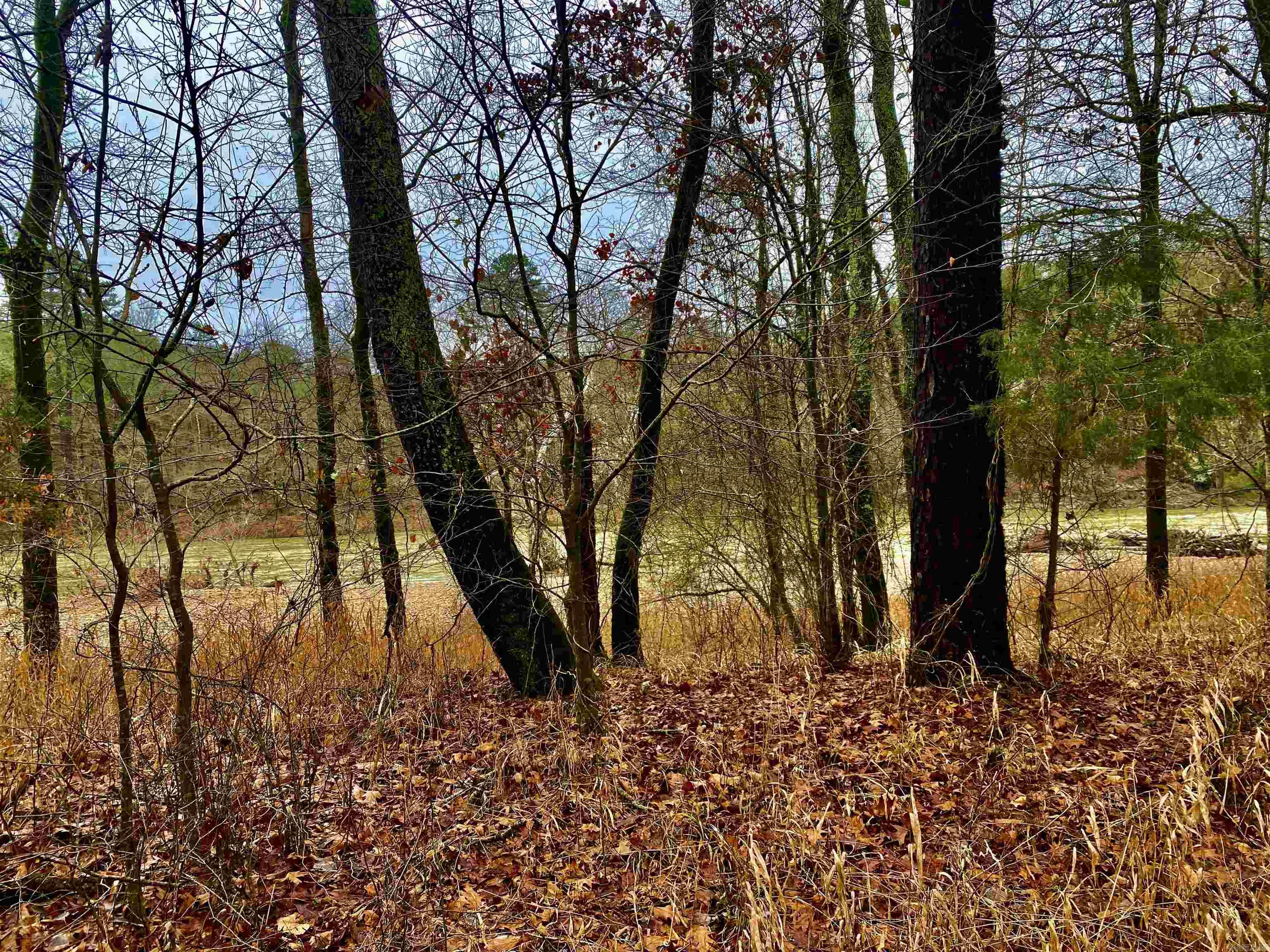 Chasewood - Land