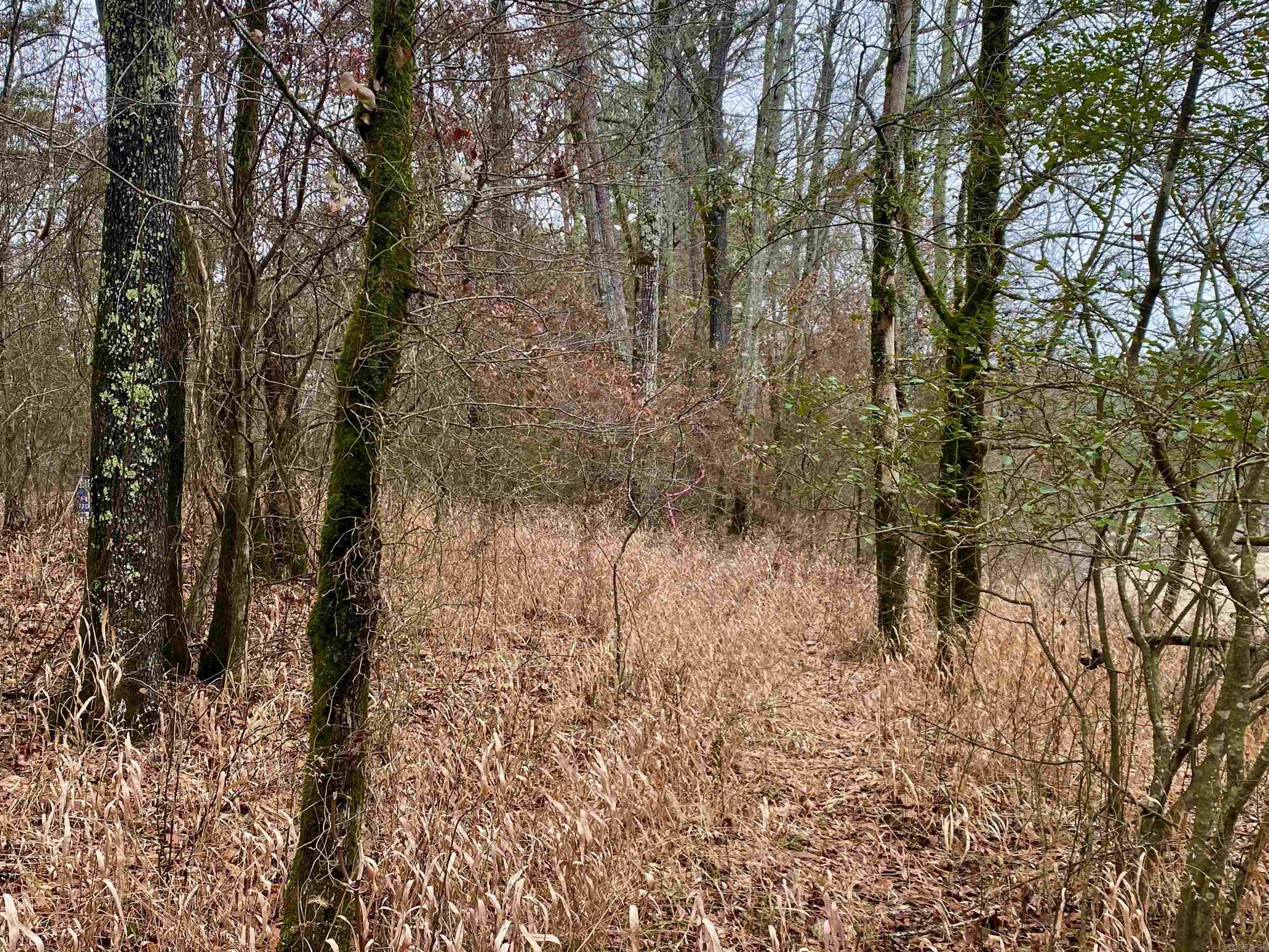 Chasewood - Land