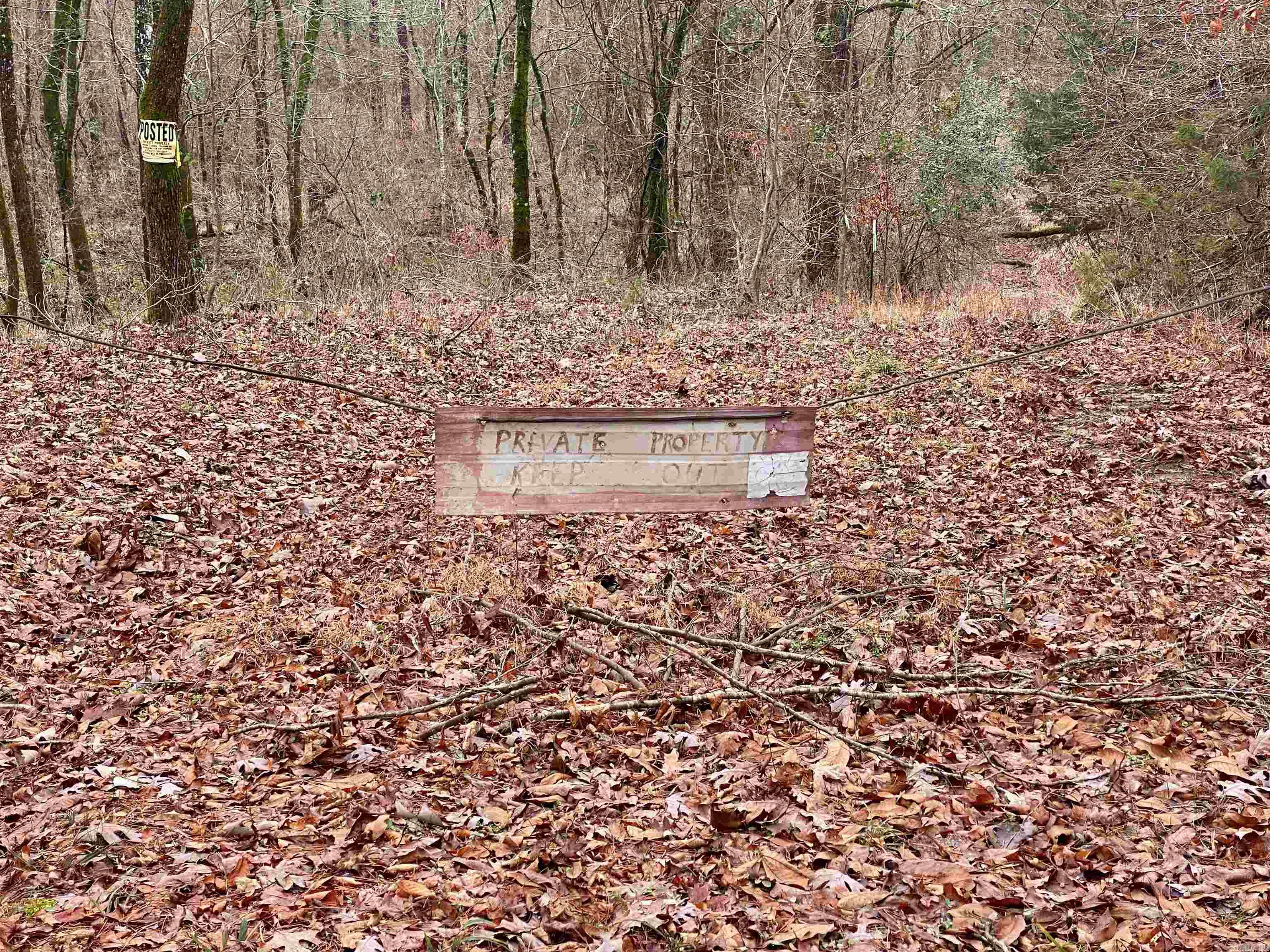 Chasewood - Land
