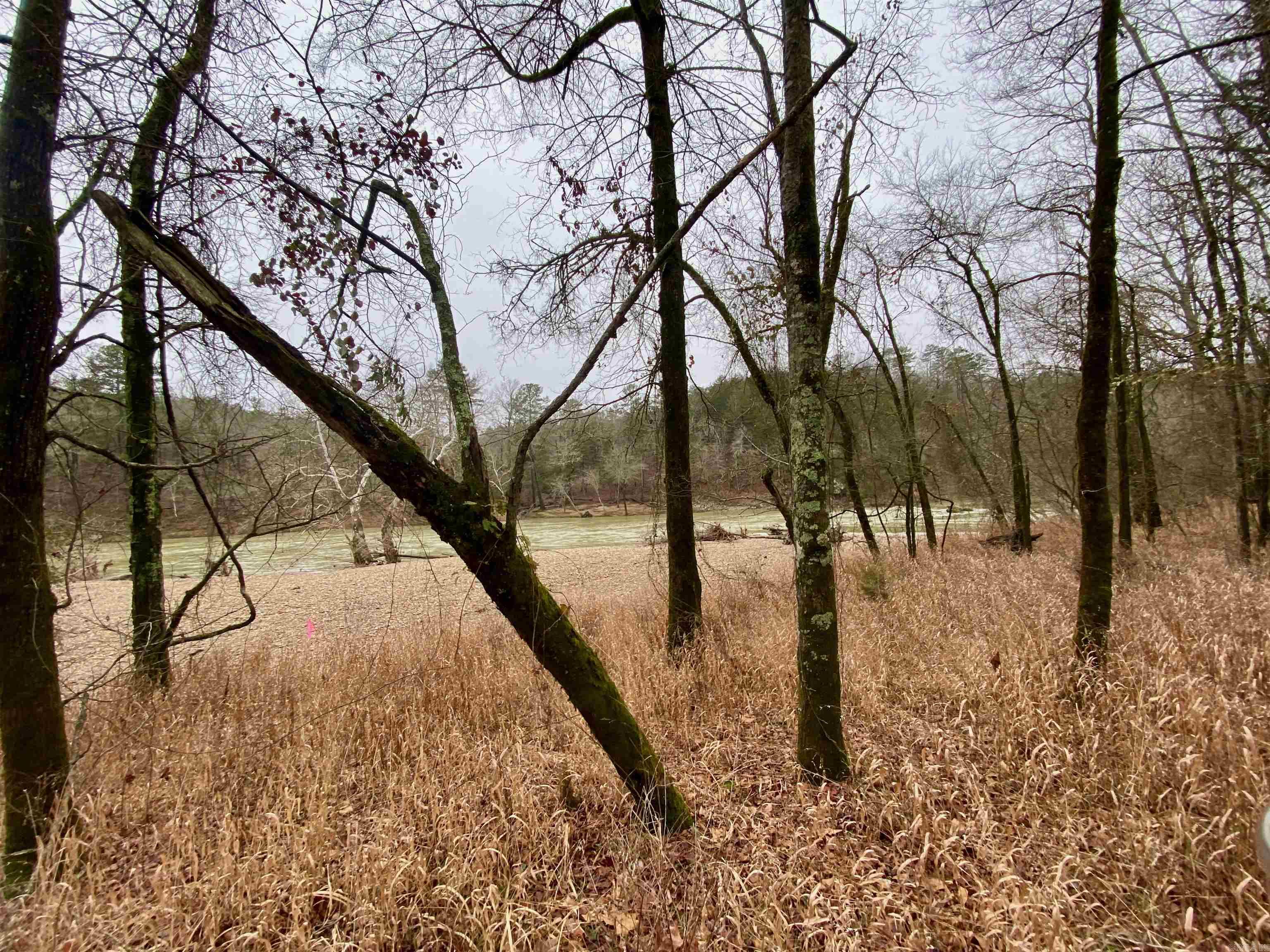 Chasewood - Land