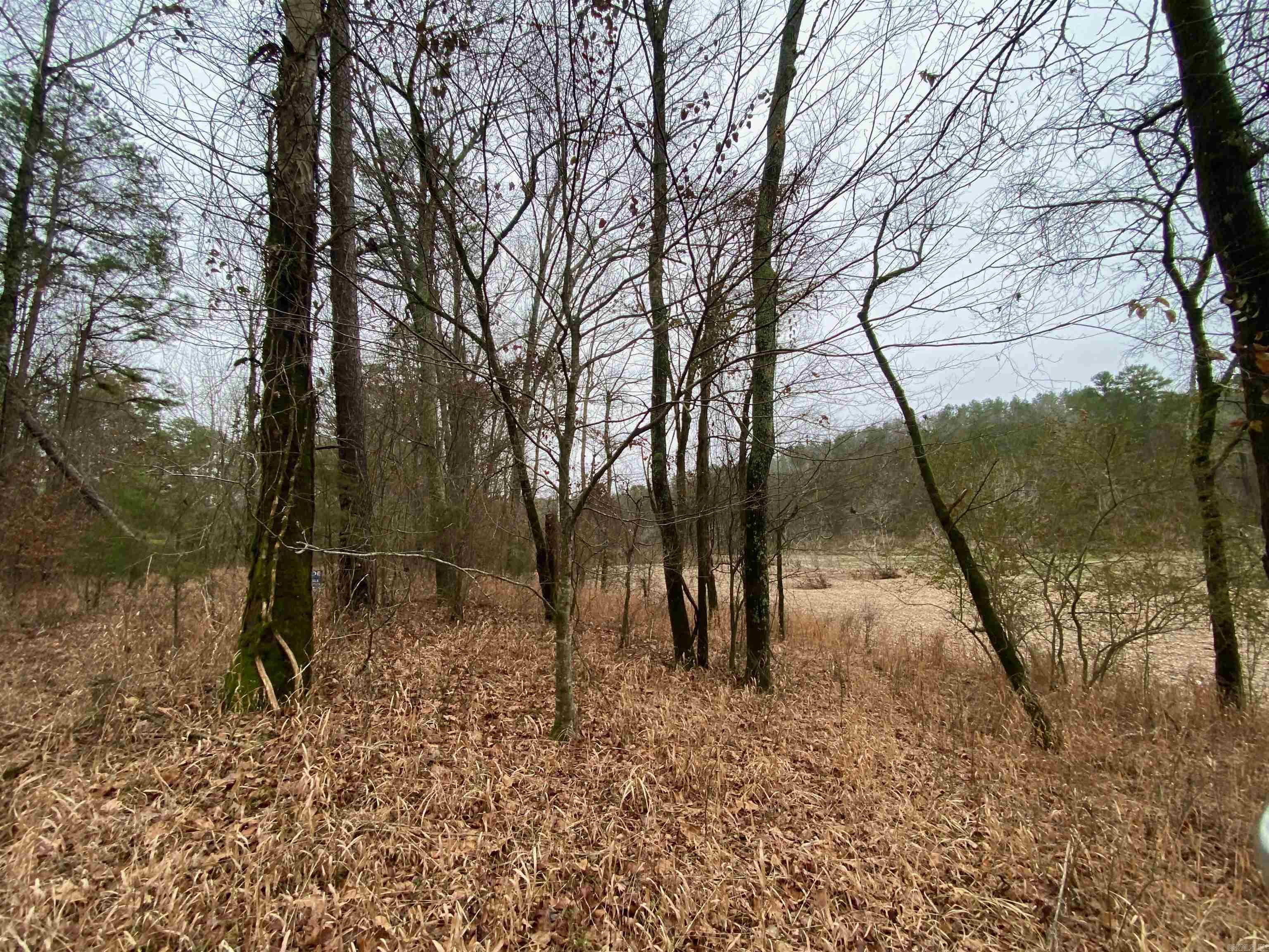 Chasewood - Land