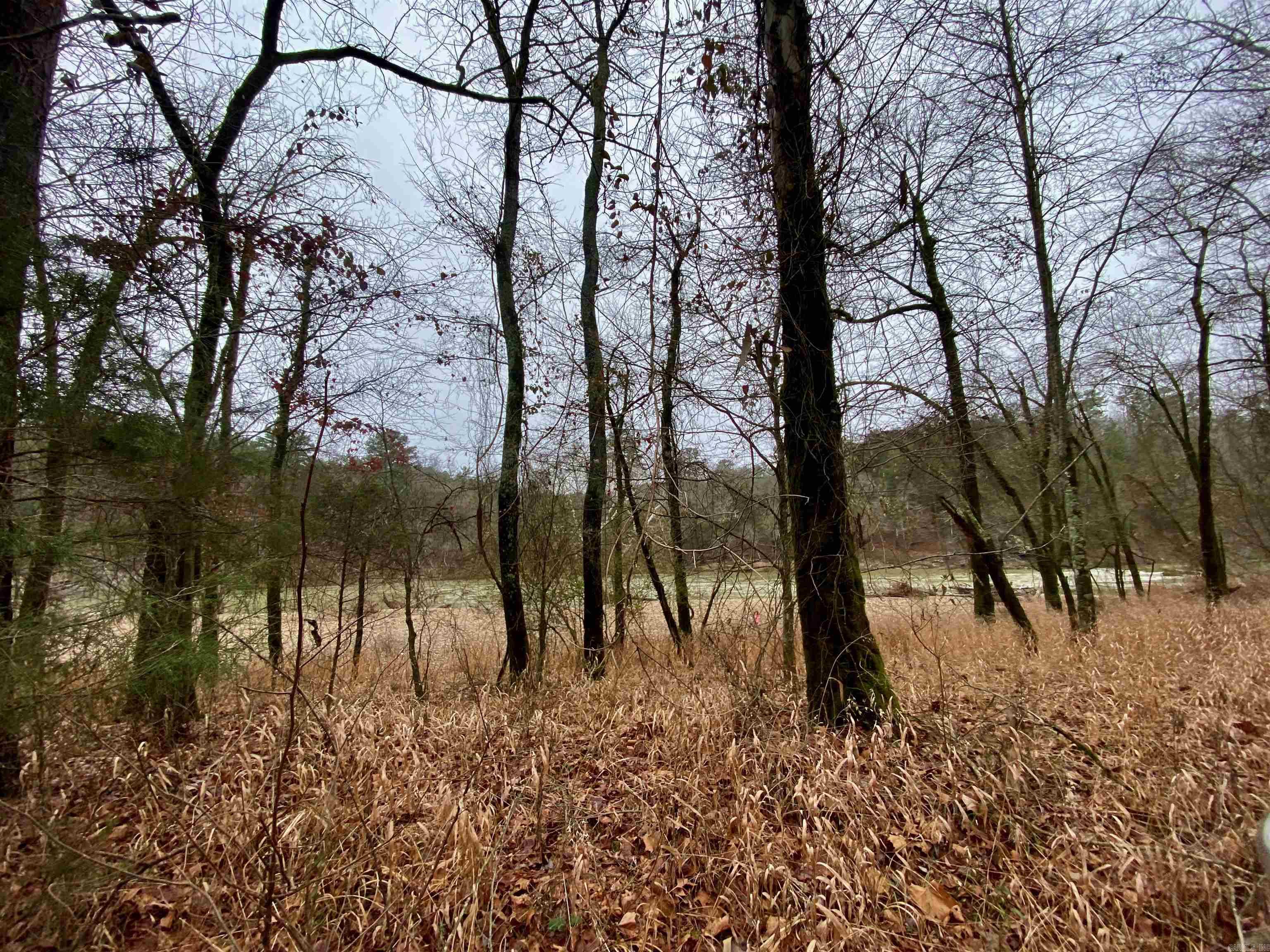 Chasewood - Land