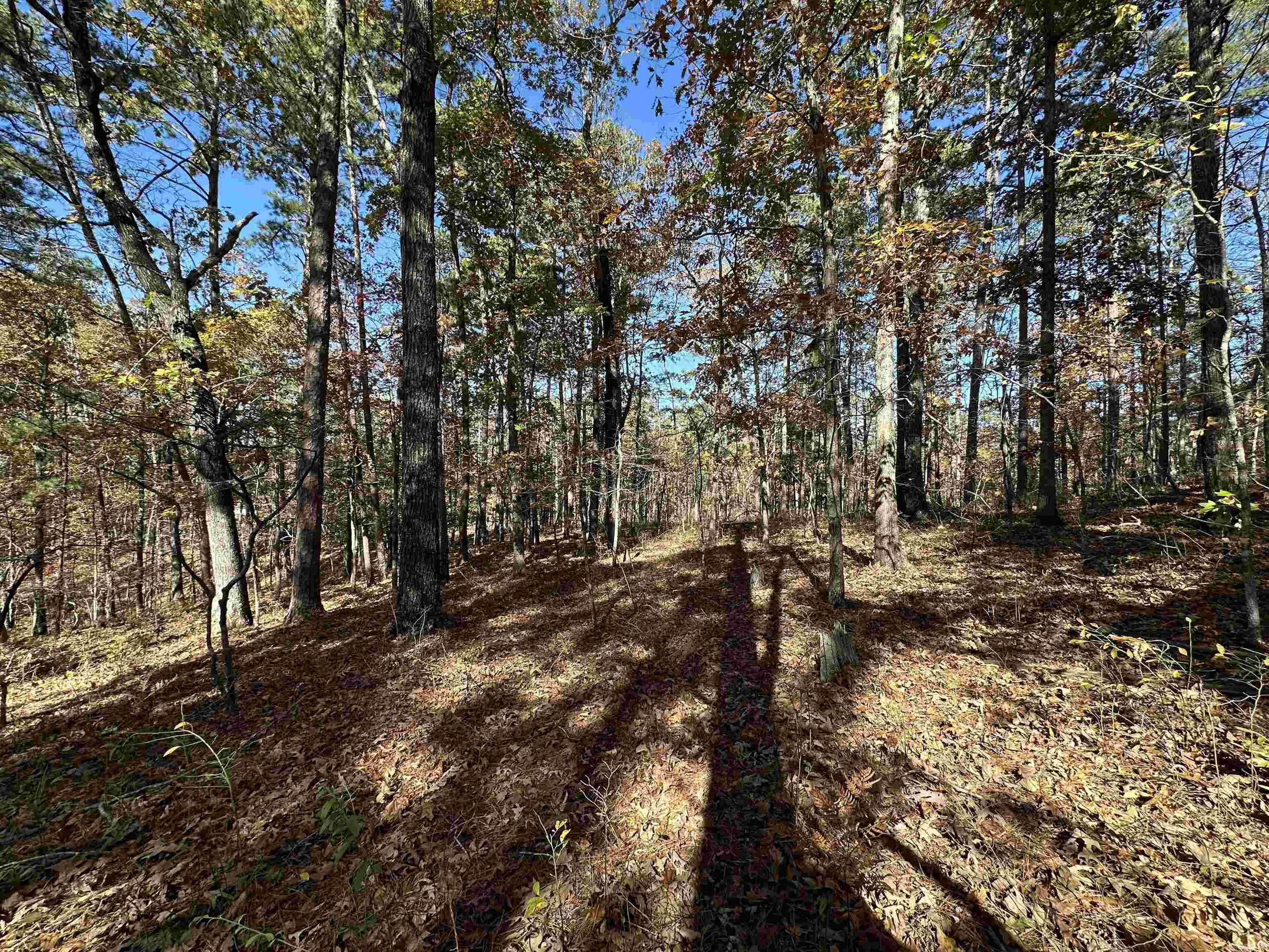 Excellent Residential Building Lot With Everything The Village Has To Offer! Very Private Property Located On A Dead End Road & Just Down The Road From The Archary Range! Seller Is Willing To Pay Buyers Buy In Fees Associated With The Hot Springs Village With An Accepted Offer!