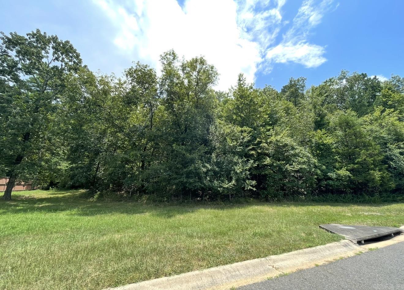 Beautiful lot available to build. Lot #37 in The Hills Subdivision. Lot #36 is also available. to the left of lot #37. Two other lots in the subdivision are available. Lot 9 & 17.