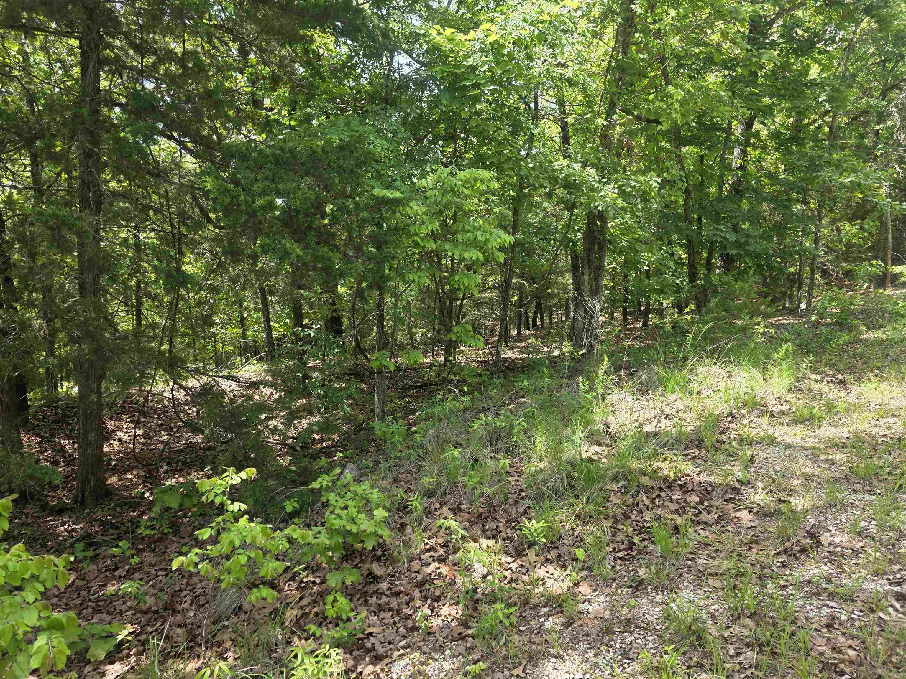 Gorgeous, wooded lot in the heart of Cherokee Village. Secluded and away from it all. But close to a main road for quick exits from the Village for shopping, dining and entertainment. This gentle downhill, sloping lot overlooks the Nocatee Dri ridge and the Ocala Dr Valley. What a view you could have. Buy this lot and pick your spot to build your dream home or just a getaway cabin. With ownership of this lot, you will have access to all the amenities of Cherokee Village such as the 7 lakes and Two 18-hole golf courses also the Thunderbird Center and swimming pool, mini golf, parks, hiking trails and don't forget about the beautiful Southfork River for fishing, kayaking or just floating down to wet your toes. This is a wonderful lot to purchase and plan for your future home. Call to purchase this one. Owner Financing possible with agreeable terms.