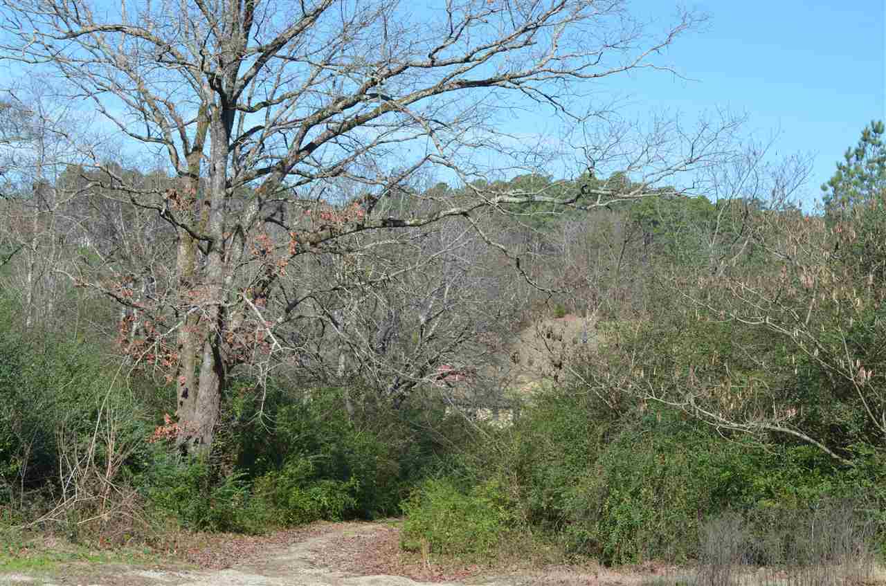 Hot Springs Unplatted - Residential
