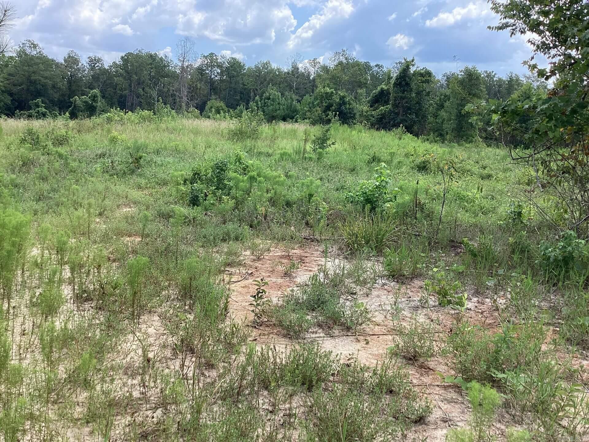 Not in Subdivision - Land