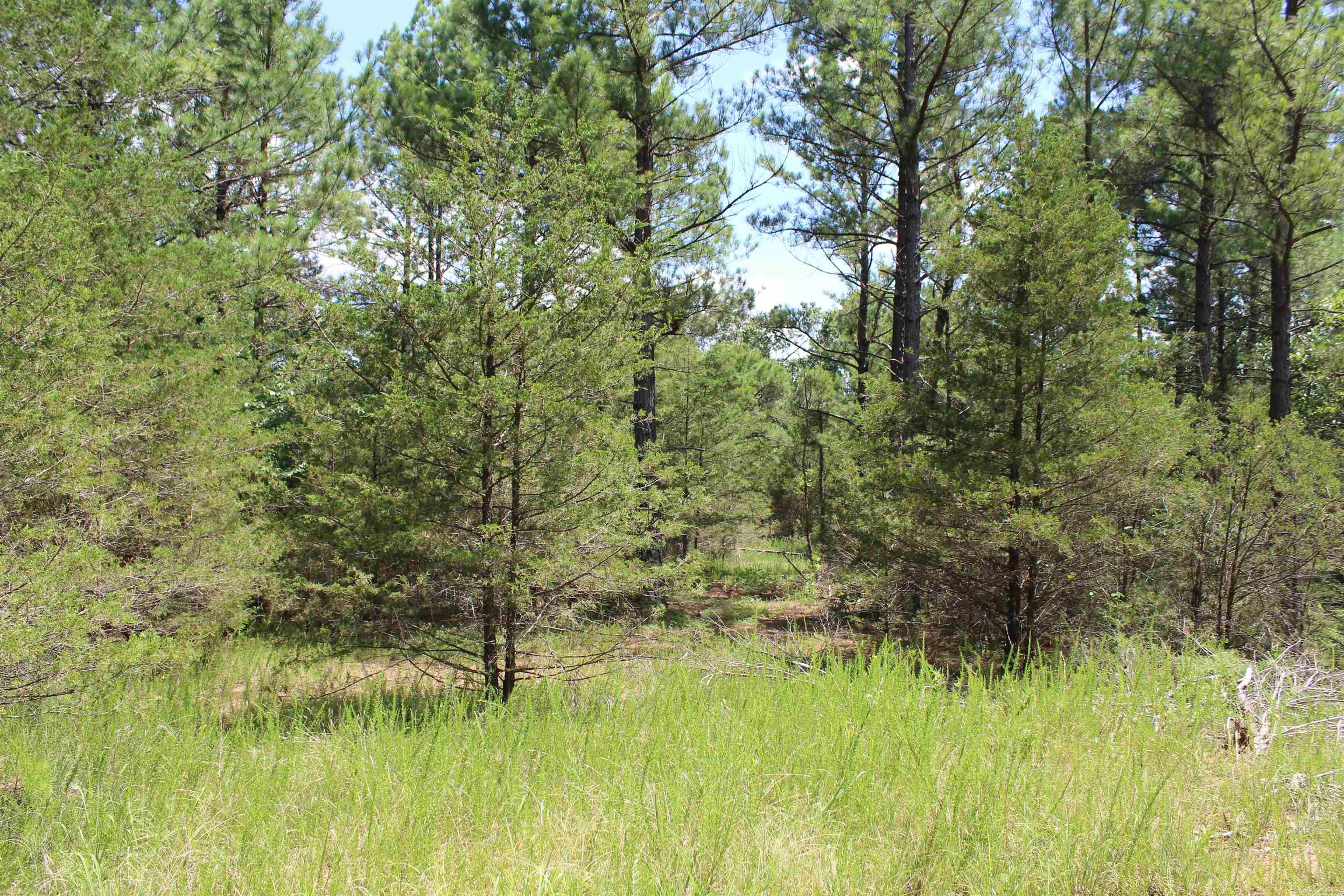 Round Mountain Estates - Land