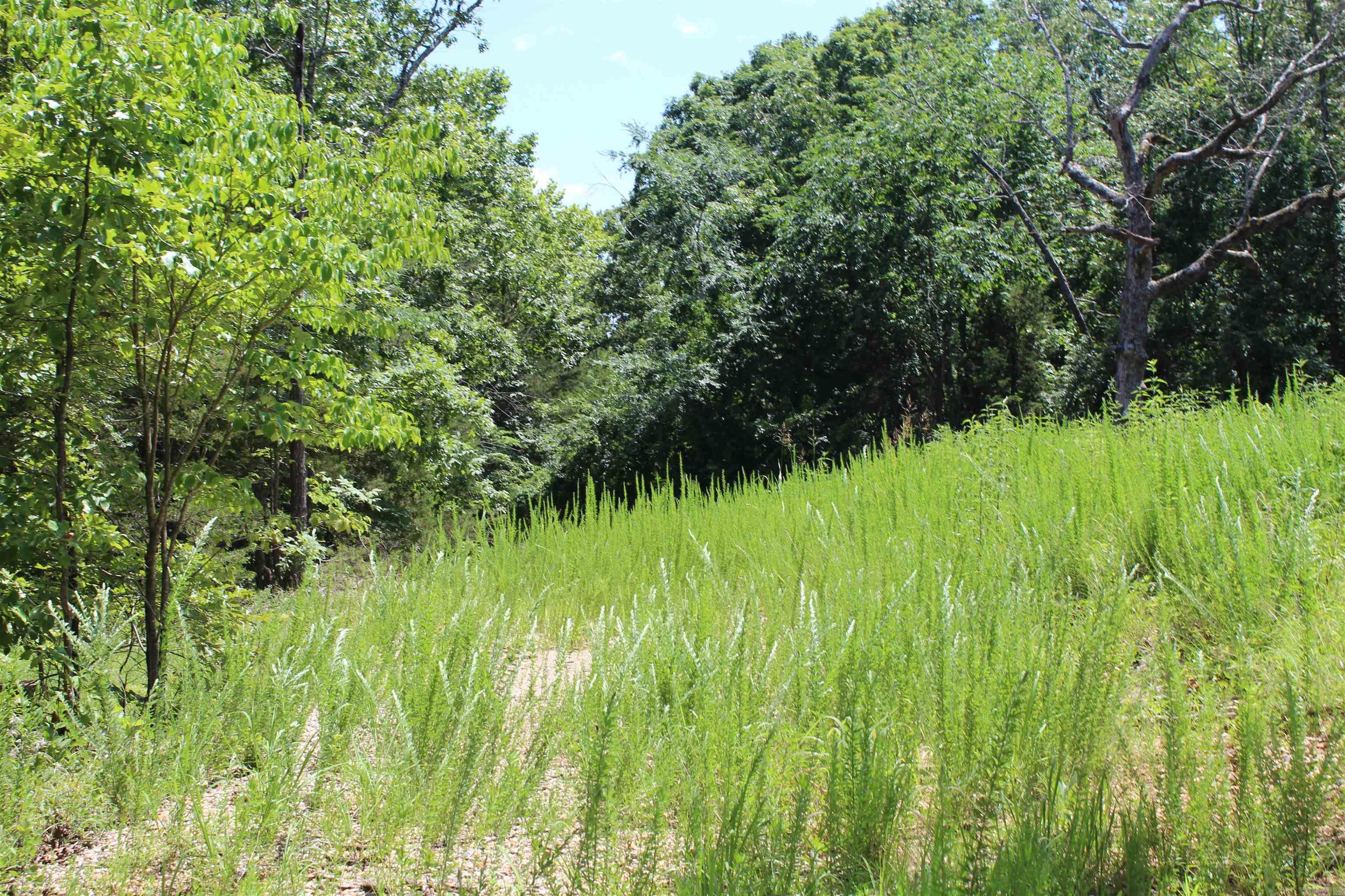 Round Mountain Estates - Land