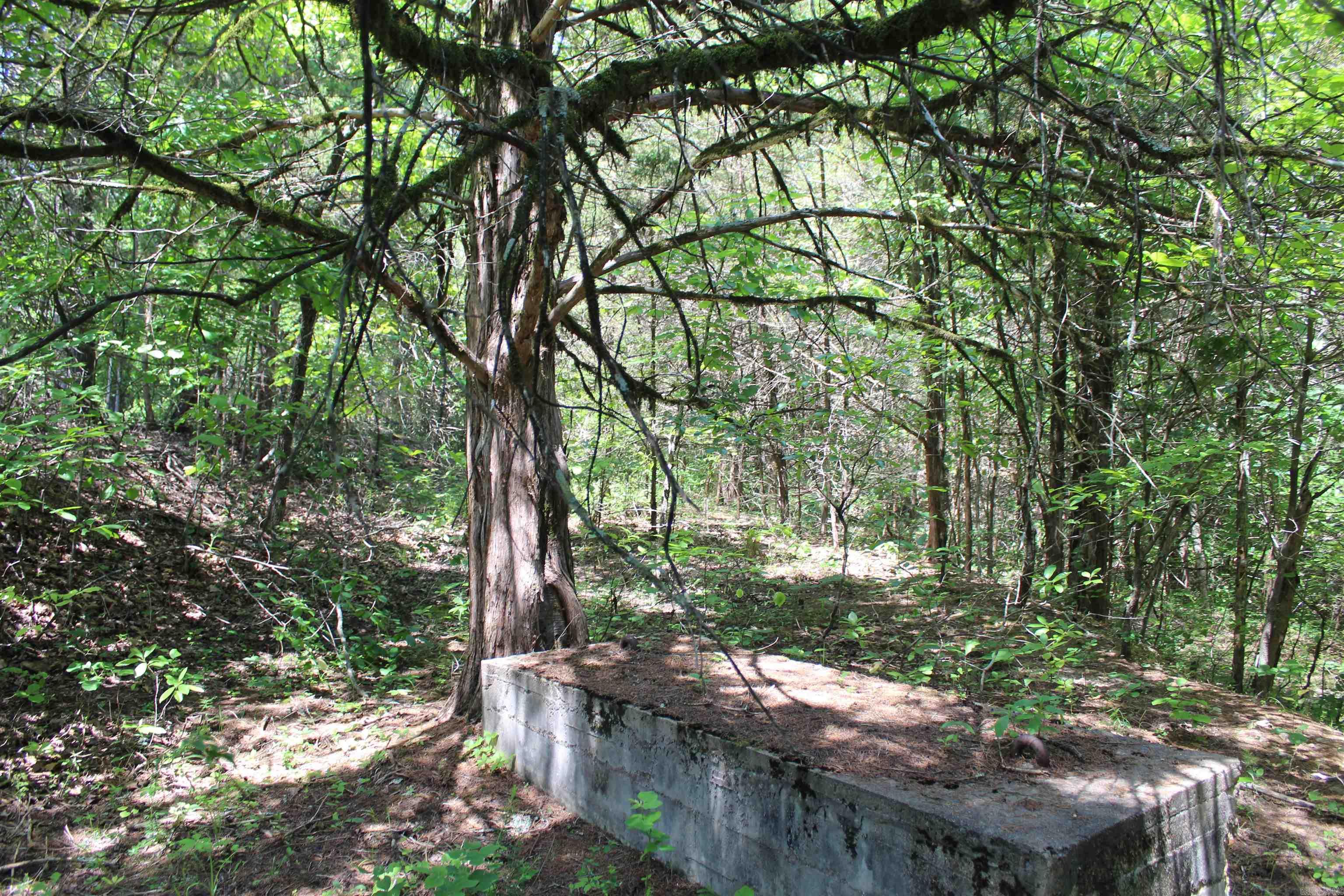 Round Mountain Estates - Land