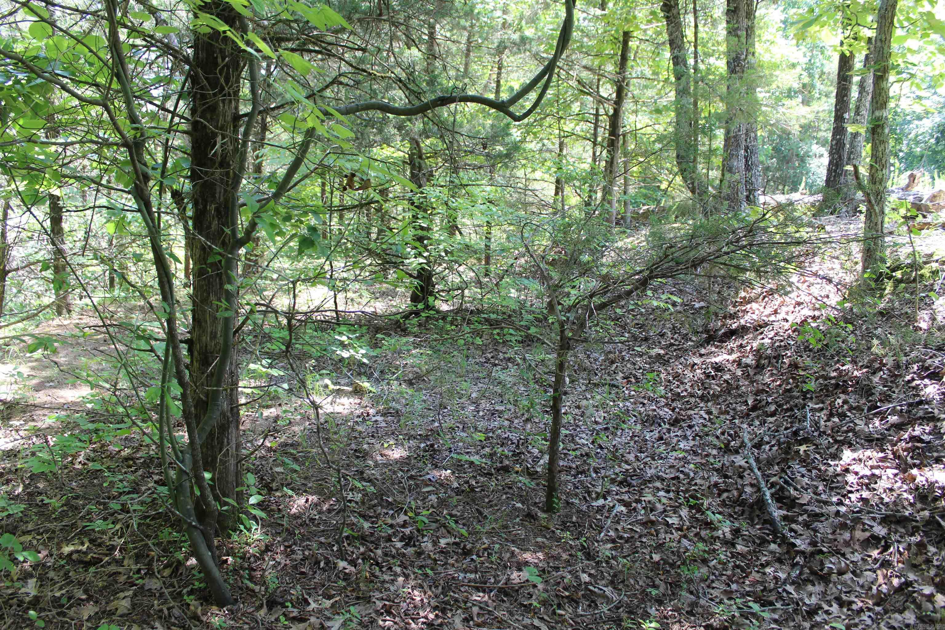 Round Mountain Estates - Land