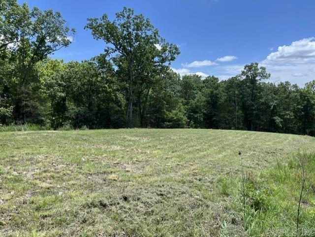 Round Mountain Estates - Land