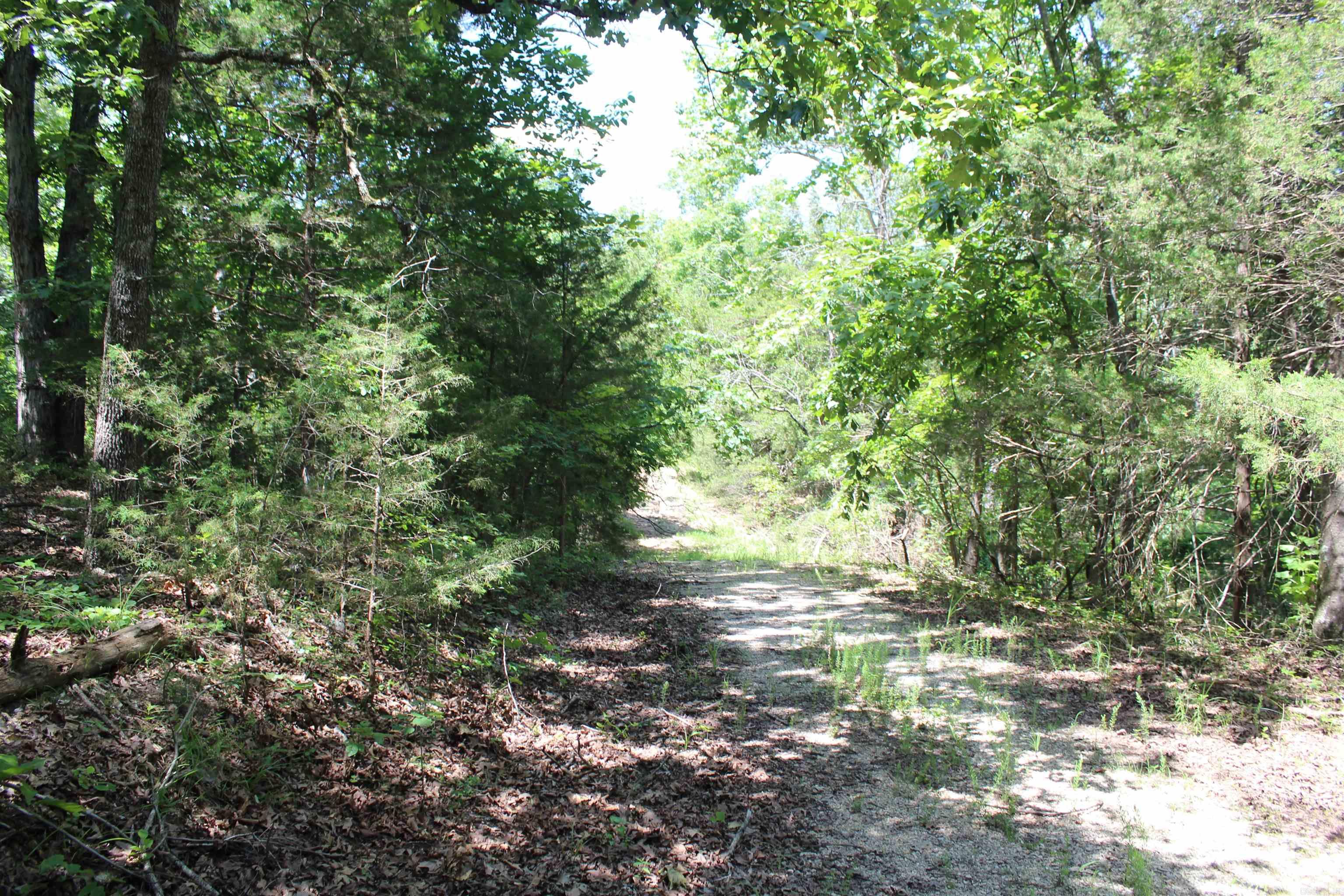 Round Mountain Estates - Land