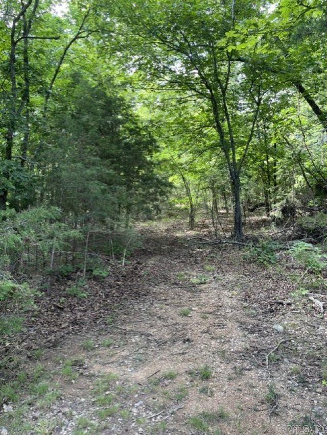 Round Mountain Estates - Land