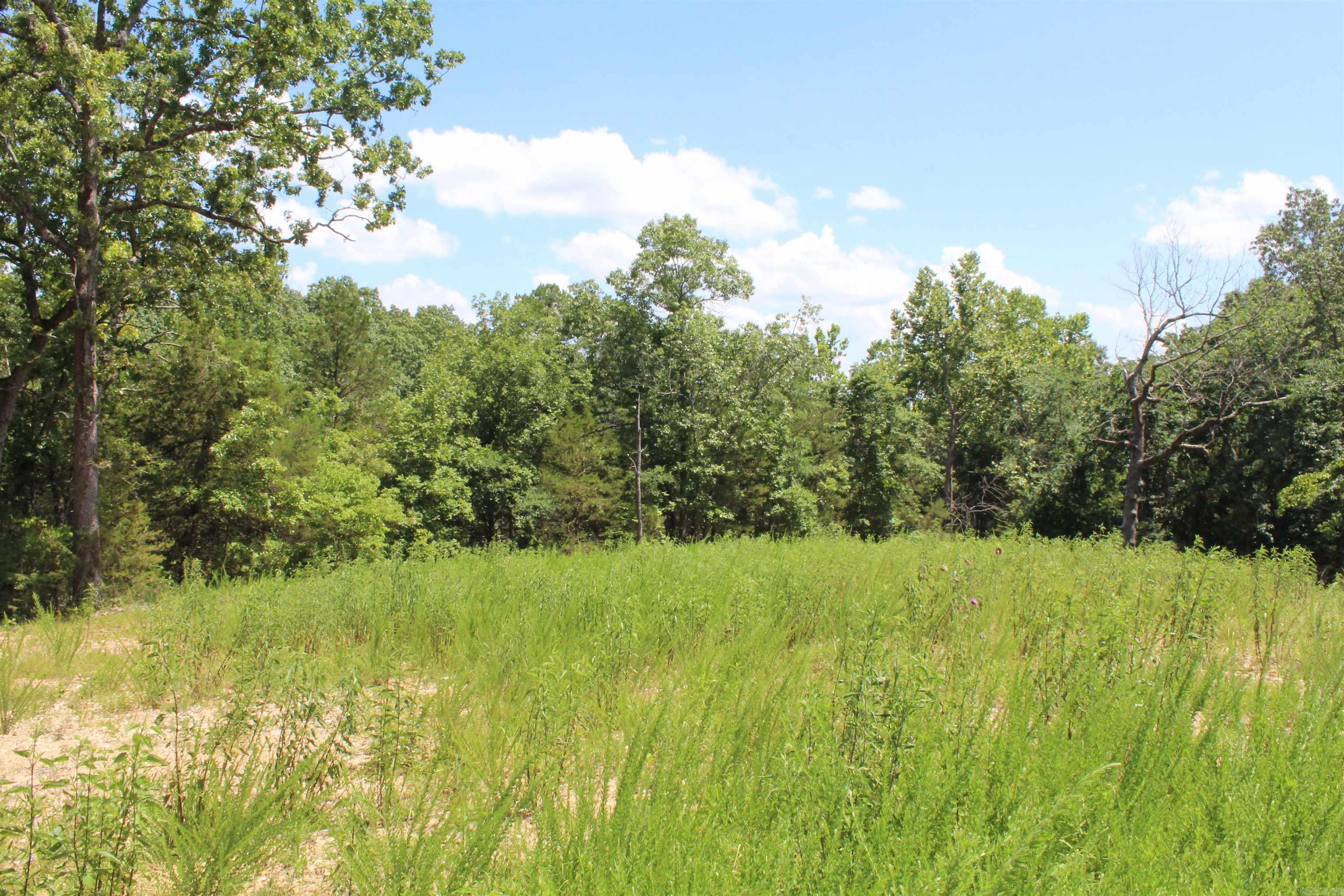 Round Mountain Estates - Land