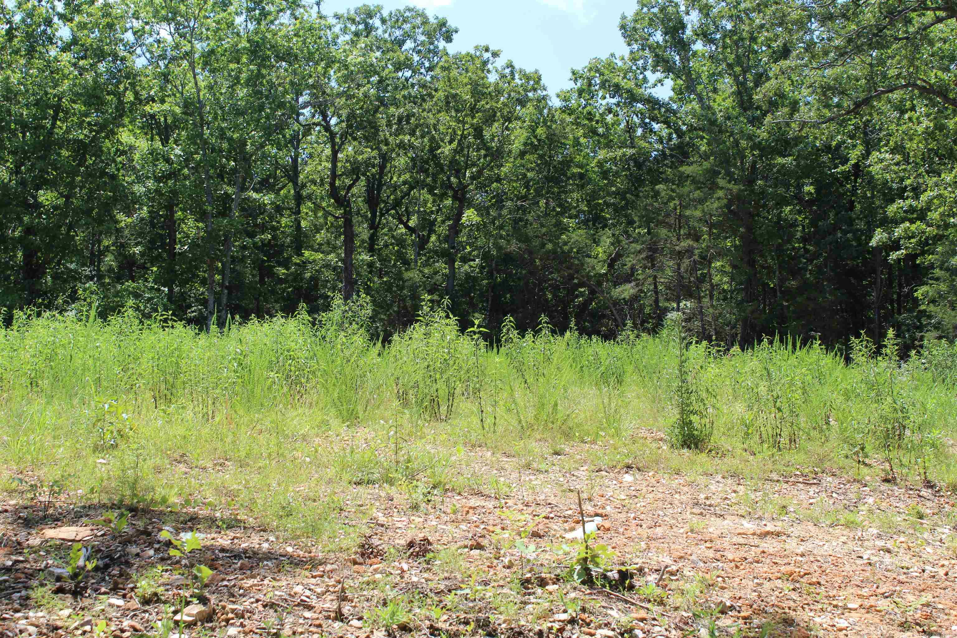Round Mountain Estates - Land