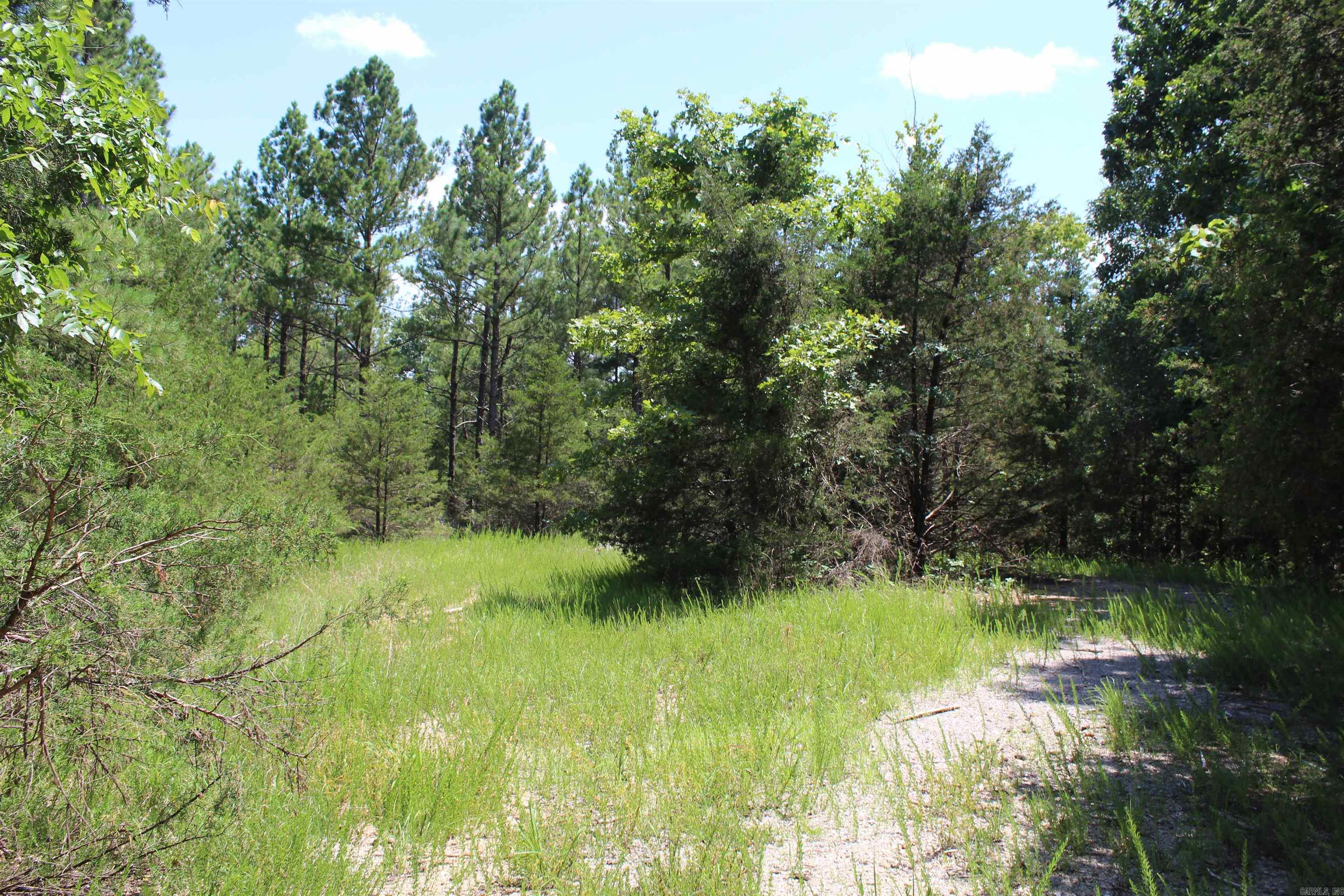 Round Mountain Estates - Land