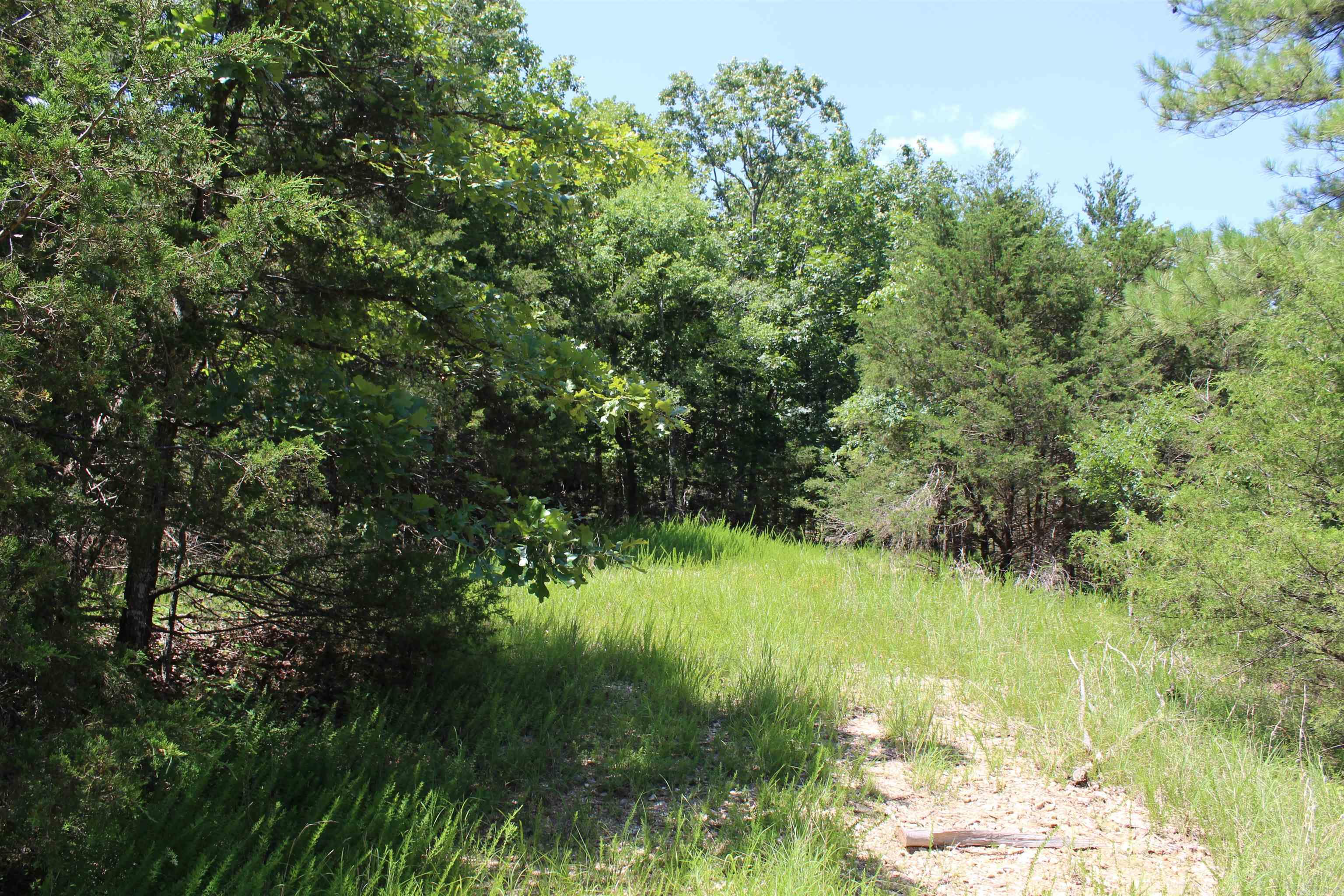 Round Mountain Estates - Land
