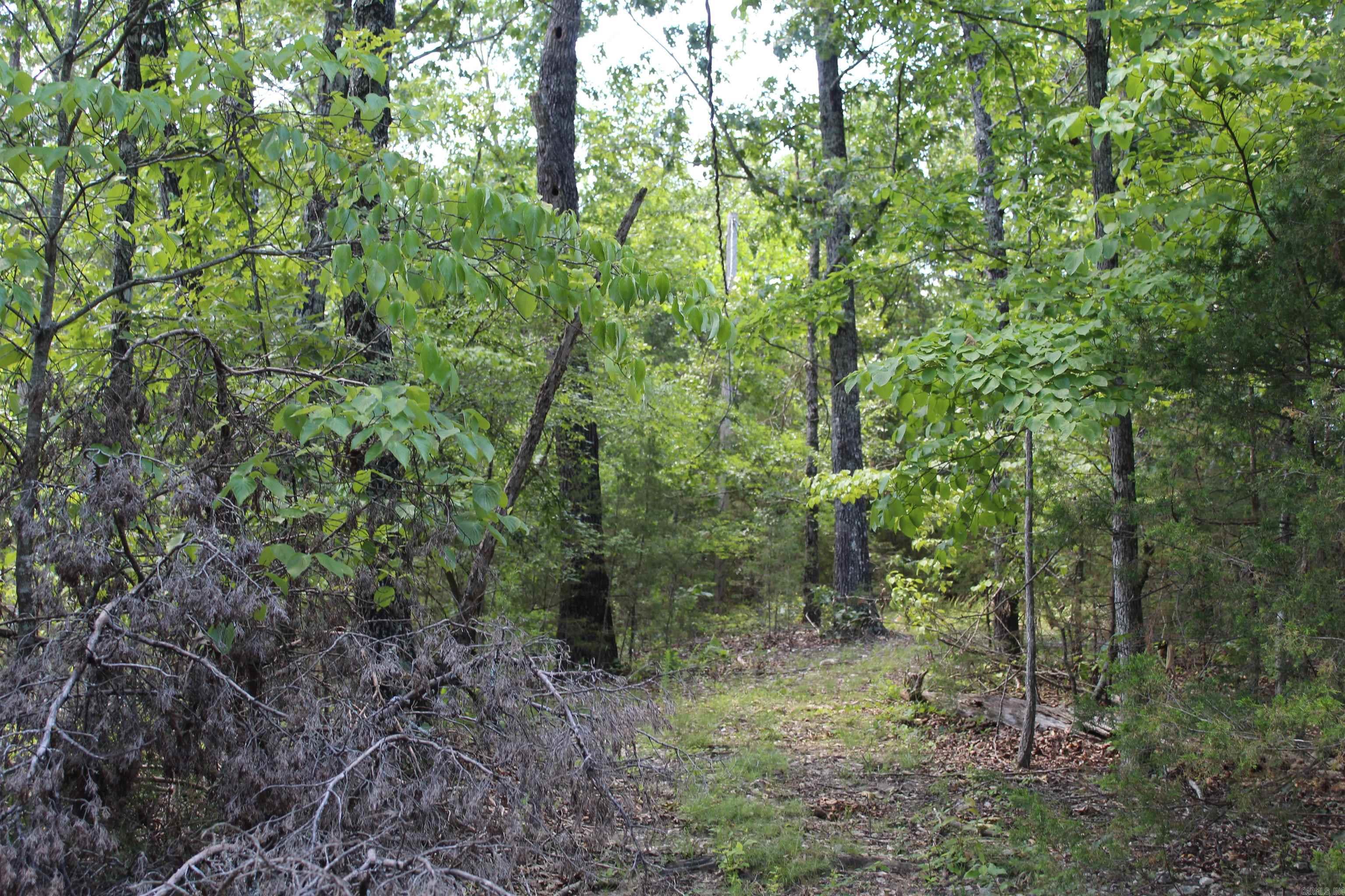 Round Mountain Estates - Land