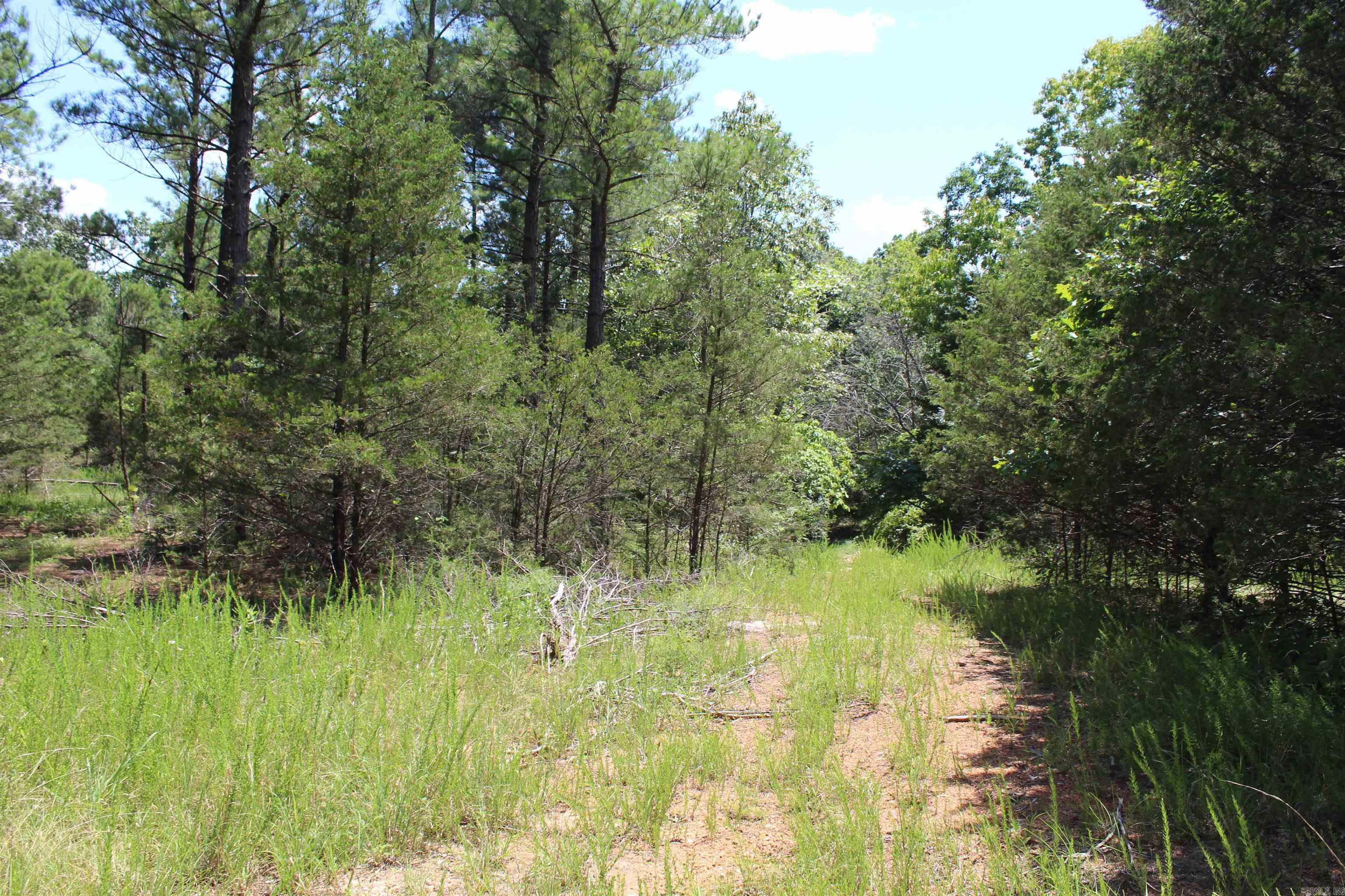 Round Mountain Estates - Land