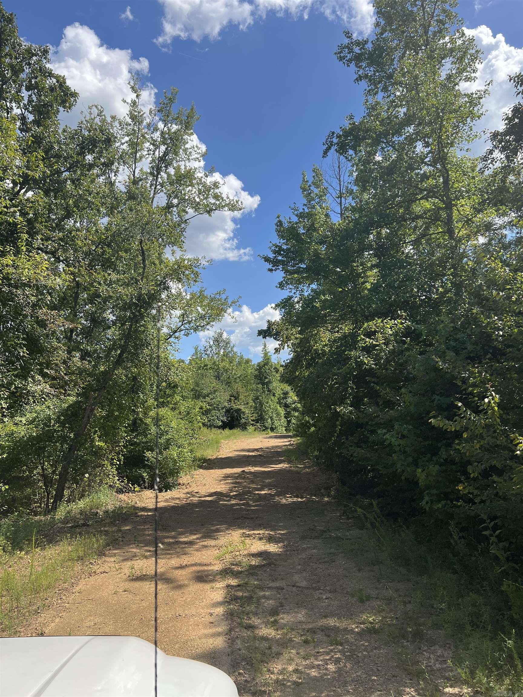 his is a rare find for serious hunters or those just looking to escape into nature. 11.52 acres+/- This off- grid land is just perfect for those who love to hunt and enjoy nature. No water, no electric just peace and quiet.