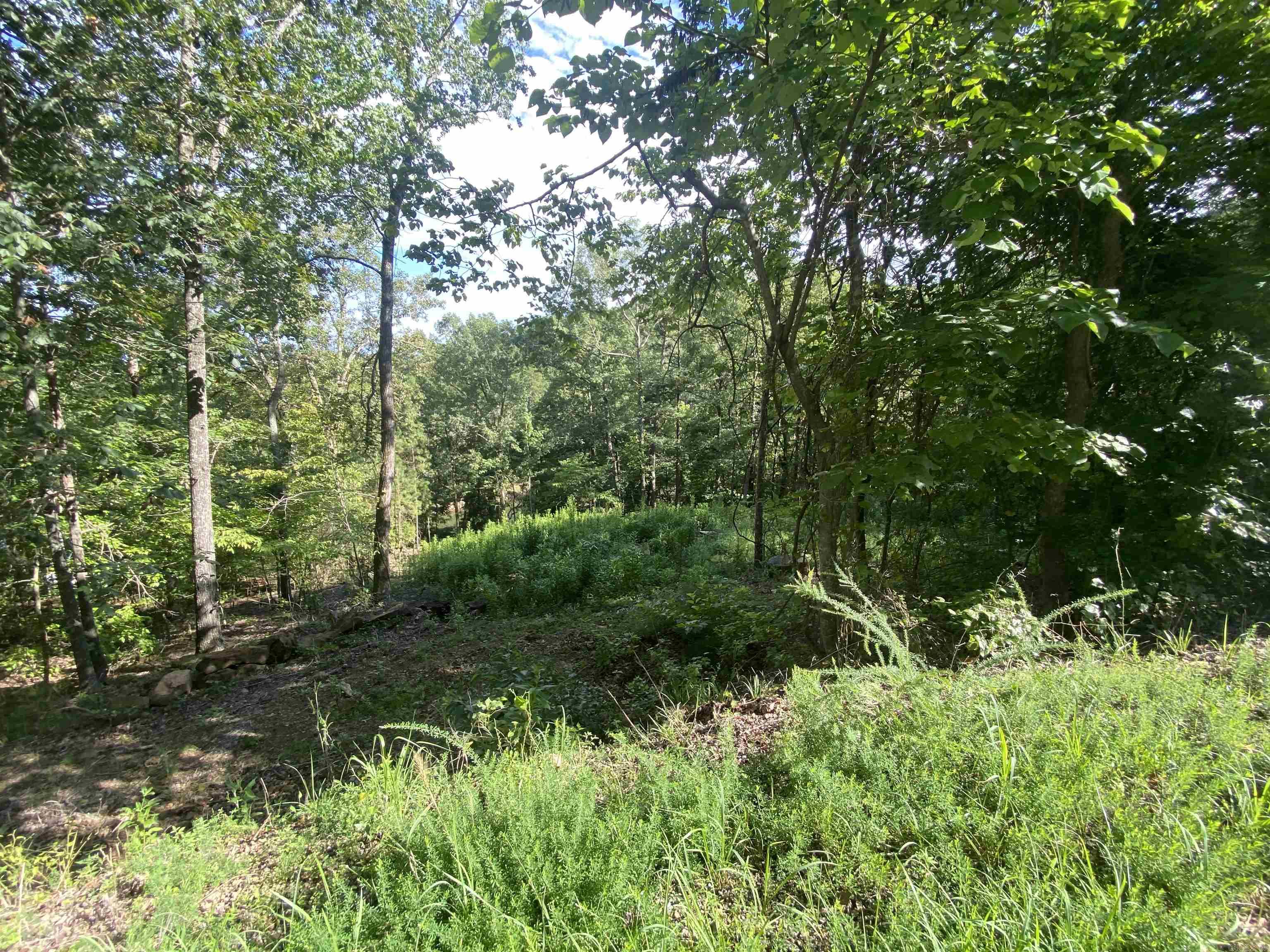 Driftwood Shores Estate - Land