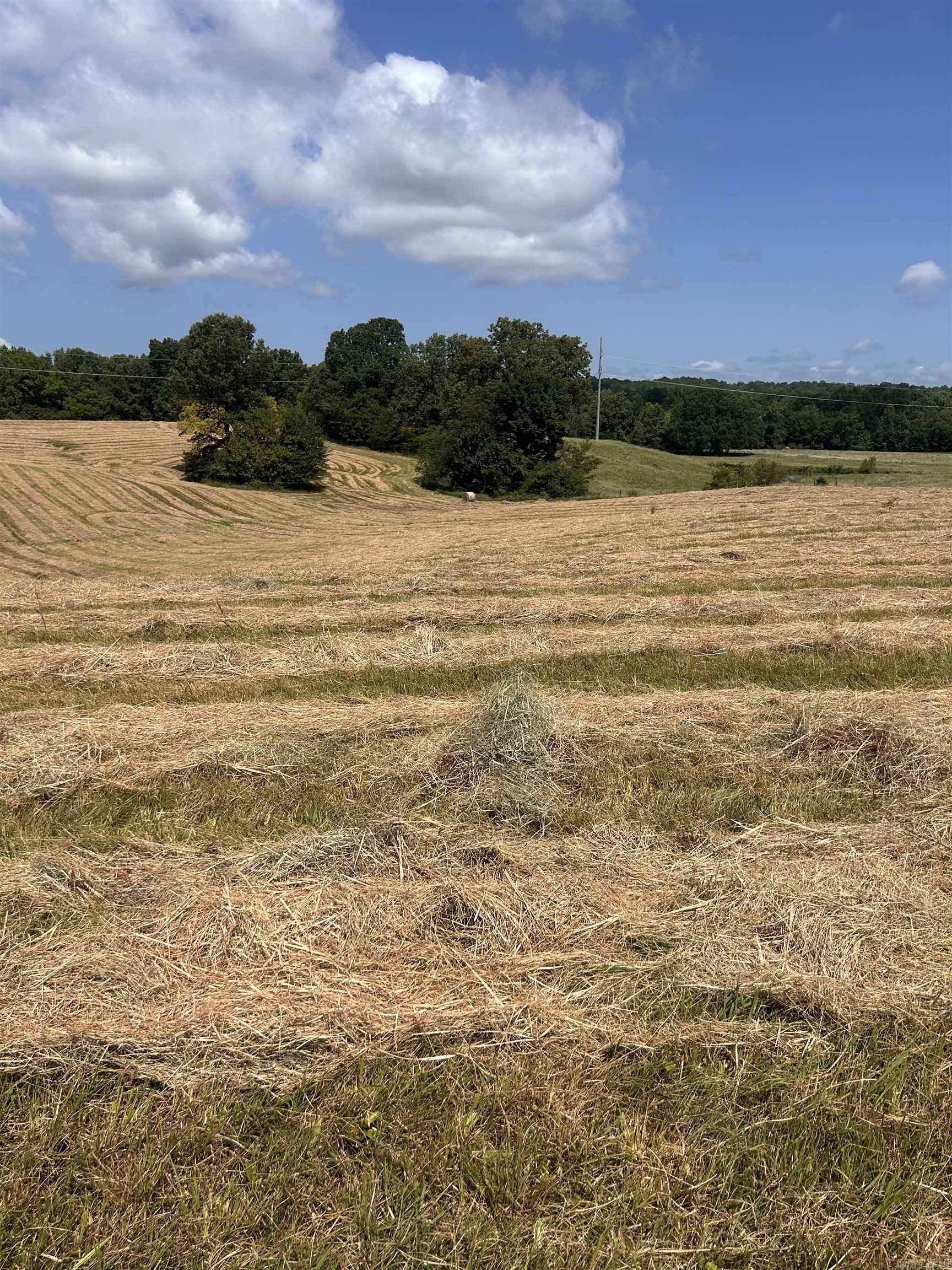 Approximately 18 Acres M/L located on Crowleys Ridge in Piggott, AR. Great opportunity to build your dream home! Property has good pasture land, and some timber. Also can be used for deer and turkey hunting. You need to check out this property! Call today!