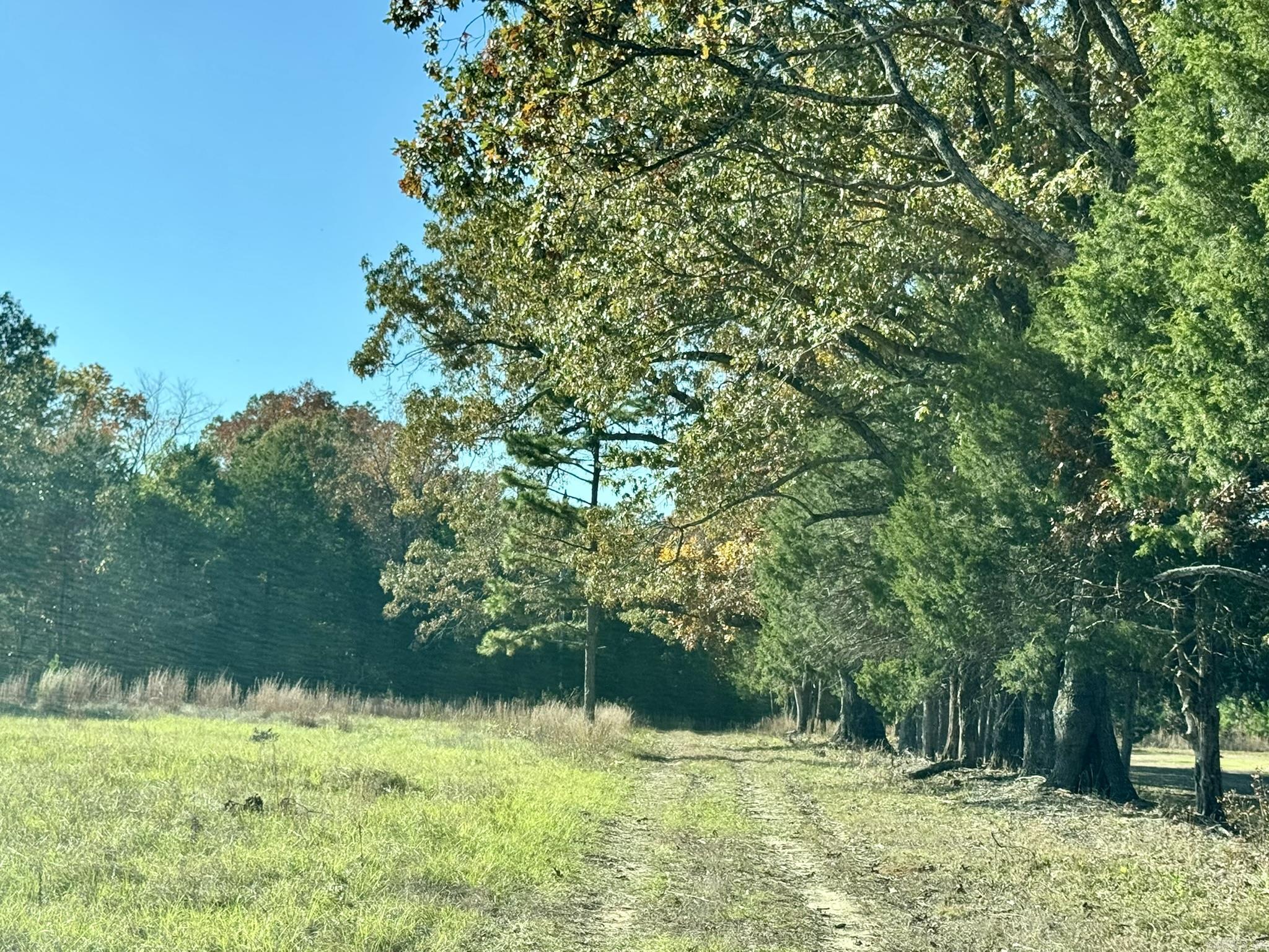 Looking for privacy without giving up convenience? Just 6 miles north of Greenbrier, this 20.45±-acre tract on Holloway Lane offers a beautiful mix of open pasture and mature hardwoods, perfect for your dream home, hobby farm, or weekend retreat. A paved road leads to a private easement providing access to the property, and utilities are available nearby to make building easier. You’ll find gentle terrain, abundant wildlife, and a peaceful setting at the end of a private road, giving you true rural living just minutes from town amenities. This land was recently divided from long-held family acreage, and parcels of this size in this area rarely come available. No drive-bys or unaccompanied showings per seller. Proof of funds or lender pre-approval required before scheduling a showing.
