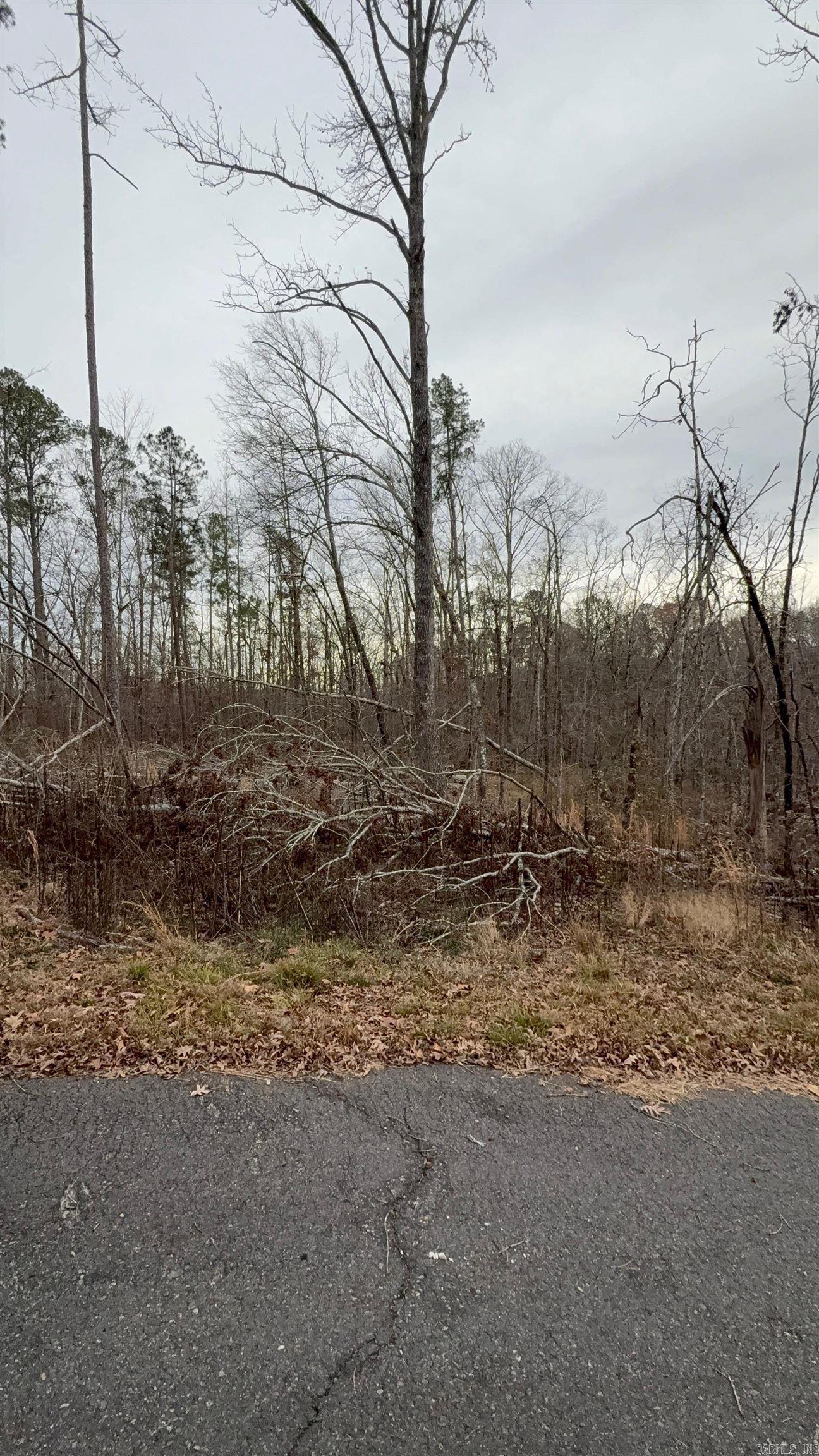 Build your dream home on this lot in Hot Springs Village!  Located near the West Gate in close proximity to Lake Pineda and Lake Coronado, easy access to Hwy 7 offering options for going into Hot Springs, or heading for Benton, Bryant and Little Rock.  Hot Springs Village offers a lifestyle like no other!  Lakes, beaches, hiking, biking and walking trails along with 9 championship golf courses.  Resort style amenities, gated entry and a vacant lot combined together to make a dream come true!