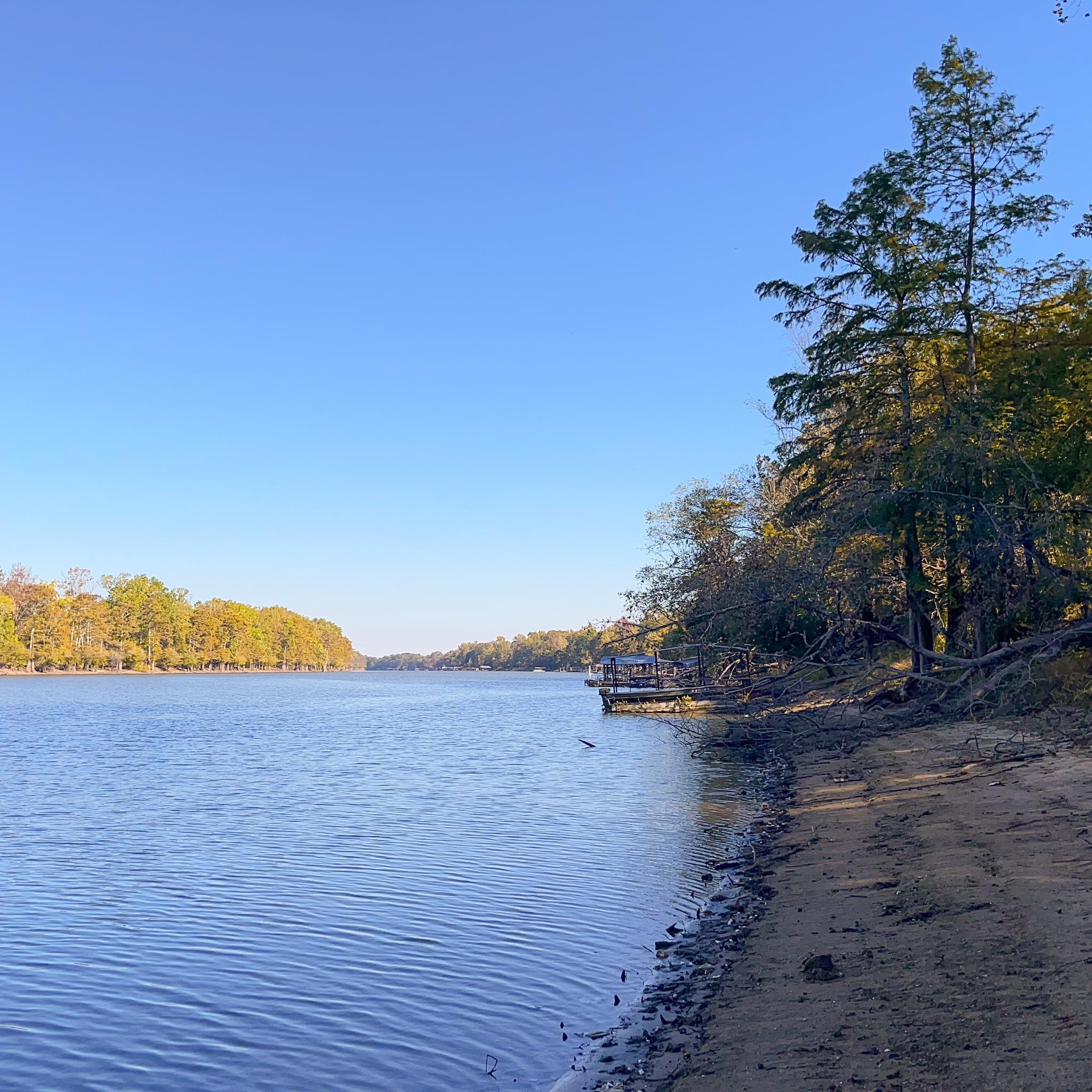 Maddox Bay - Land