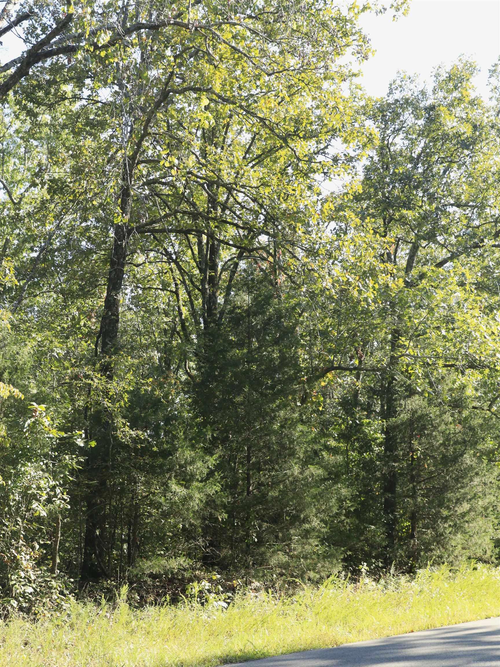 GREEN BRIAR - Land