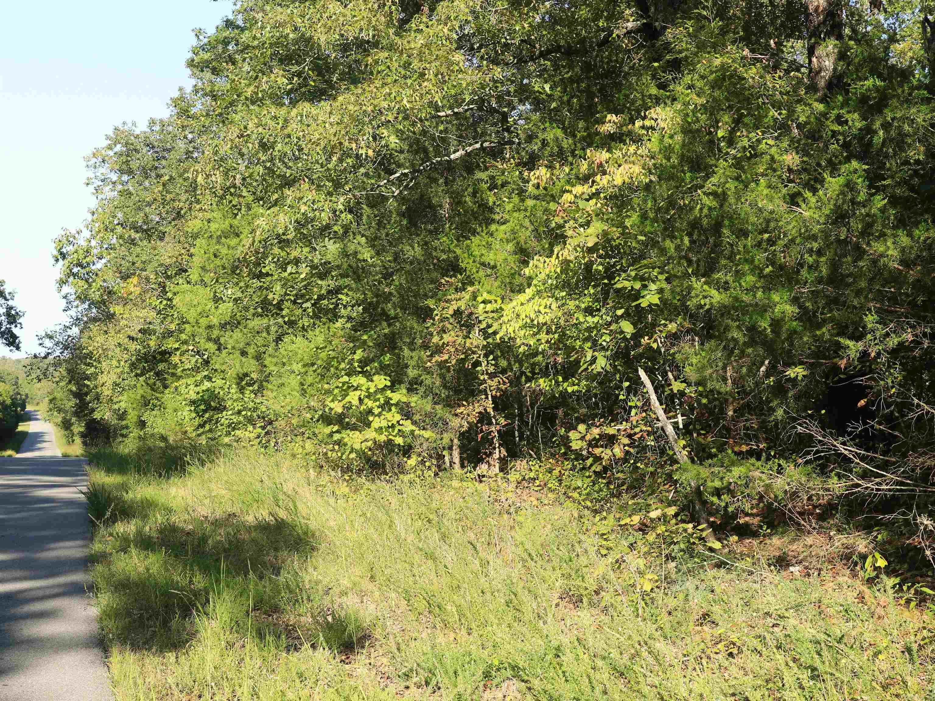 GREEN BRIAR - Land