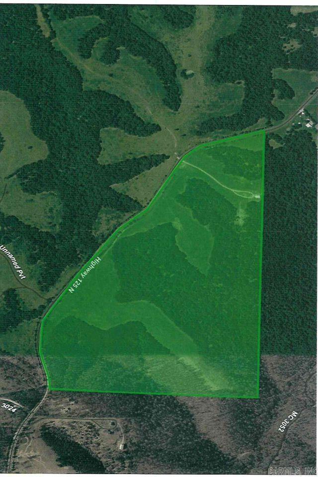 Pasture and woods make for an excellent place to farm, hunt or both.  This property provides that opportunity.  Located less than 10 miles from town, it offers approximately 4,000 feet of Hwy 125 N frontage, Pond, Spring, perimeter fence and no restrictions.  Property is about 85% wood and 45% pasture.  The owner currently gets about 100 round bales of hay twice a year.   You will also find a 30 x 50 barn, closed on 3 sides with power that has been run underground.  Bull Shoals Lake, White River and Buffalo National River are all within a 30-minute drive.   Own a piece of the Beautiful Ozarks!