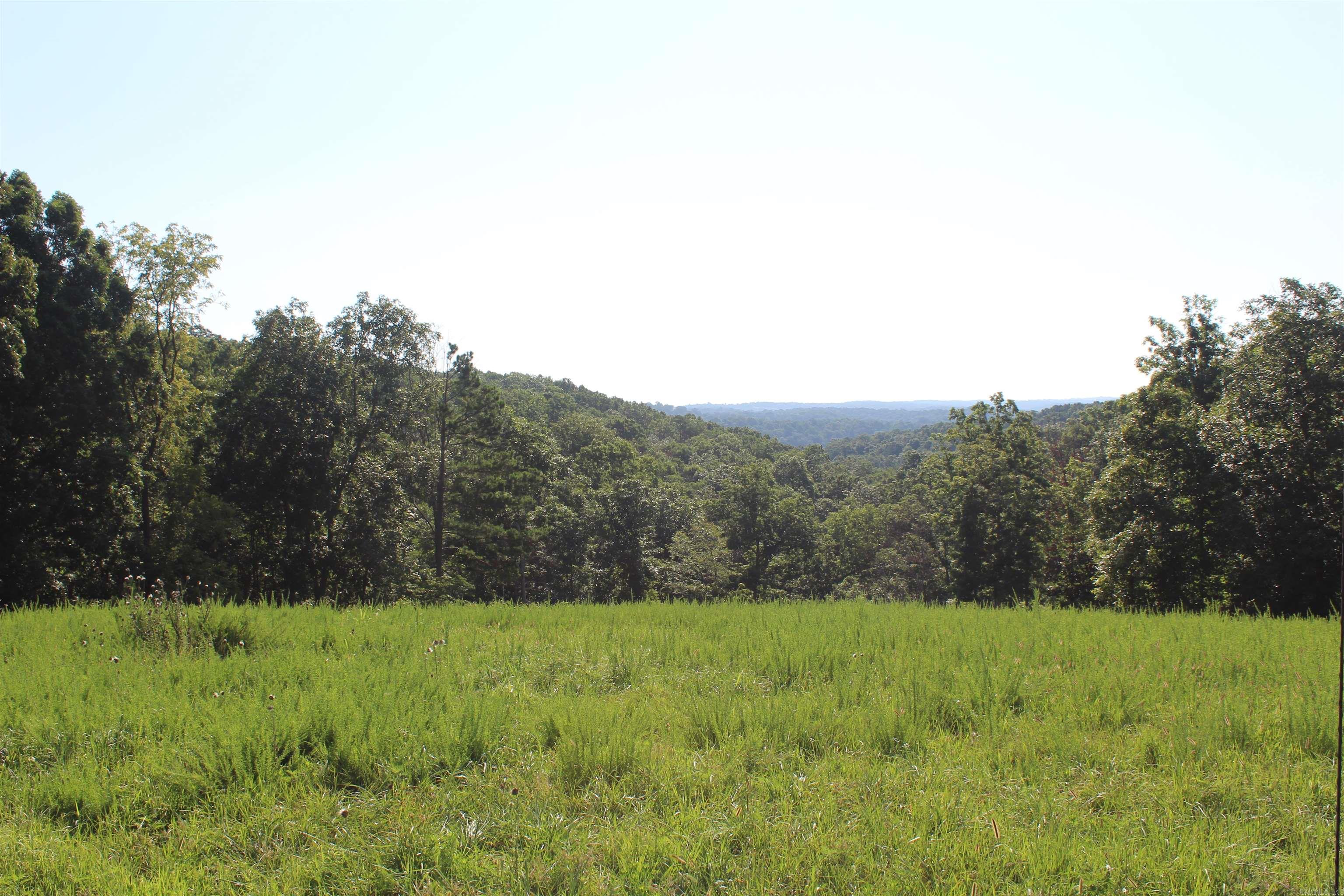 Pasture and woods make for an excellent place to farm, hunt or both.  This property provides that opportunity.  Located less than 10 miles from town, it offers approximately 4,000 feet of Hwy 125 N frontage, Pond, Spring, perimeter fence and no restrictions.  Property is about 85% wood and 45% pasture.  The owner currently gets about 100 round bales of hay twice a year.   You will also find a 30 x 50 barn, closed on 3 sides with power that has been run underground.  Bull Shoals Lake, White River and Buffalo National River are all within a 30-minute drive.   Own a piece of the Beautiful Ozarks!